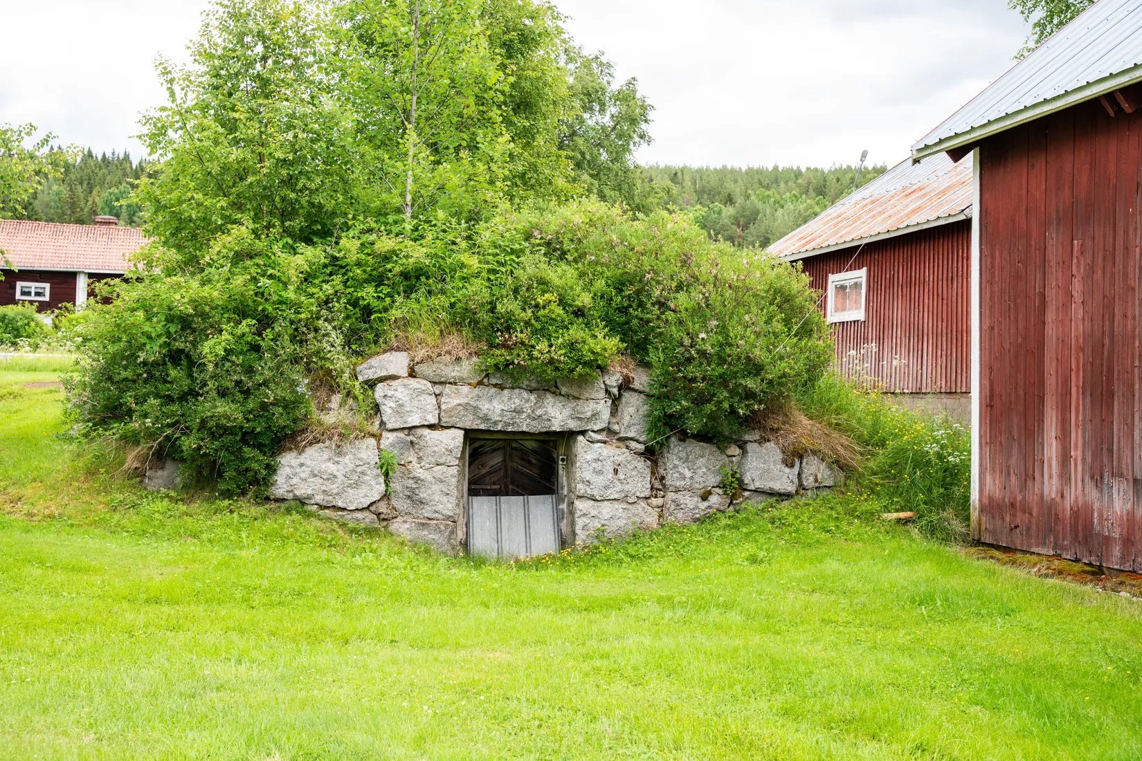 Gård/Skog, Norrnäs 112, Sollefteå