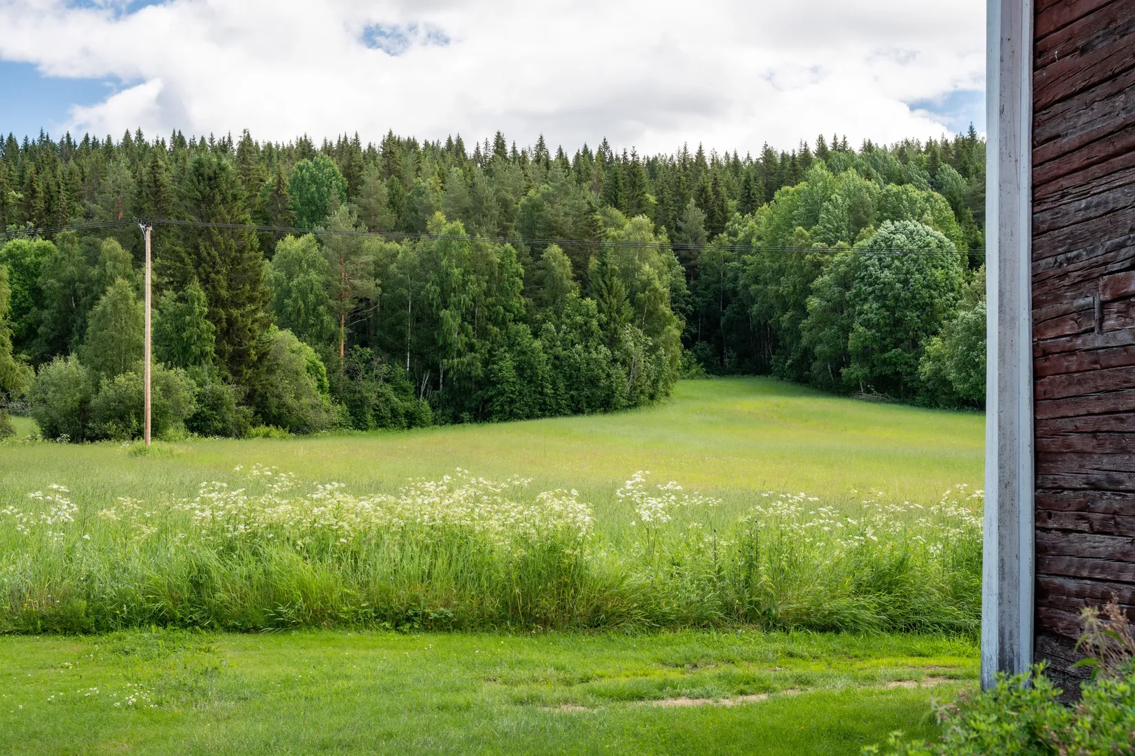 Gård/Skog, Norrnäs 112, Sollefteå