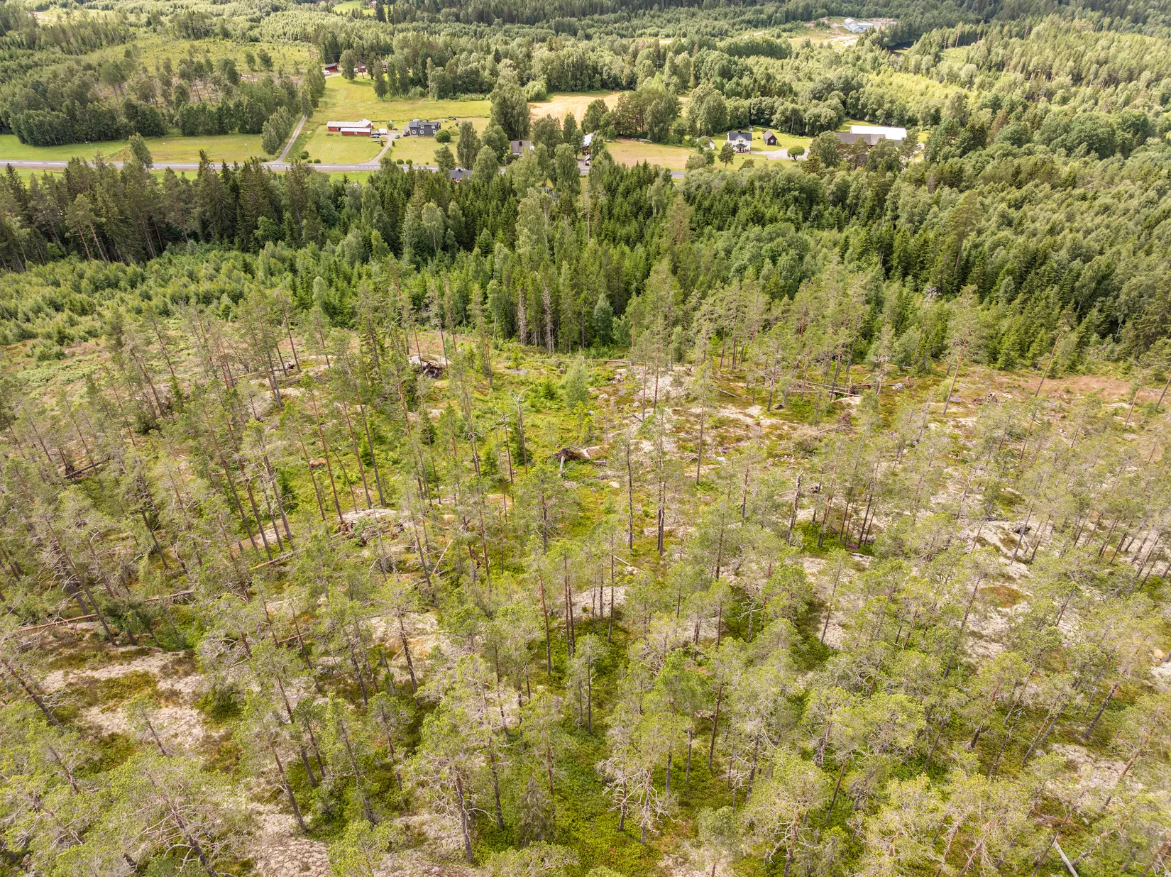 Gård/Skog, Stavre 405, Stavre, Timrå