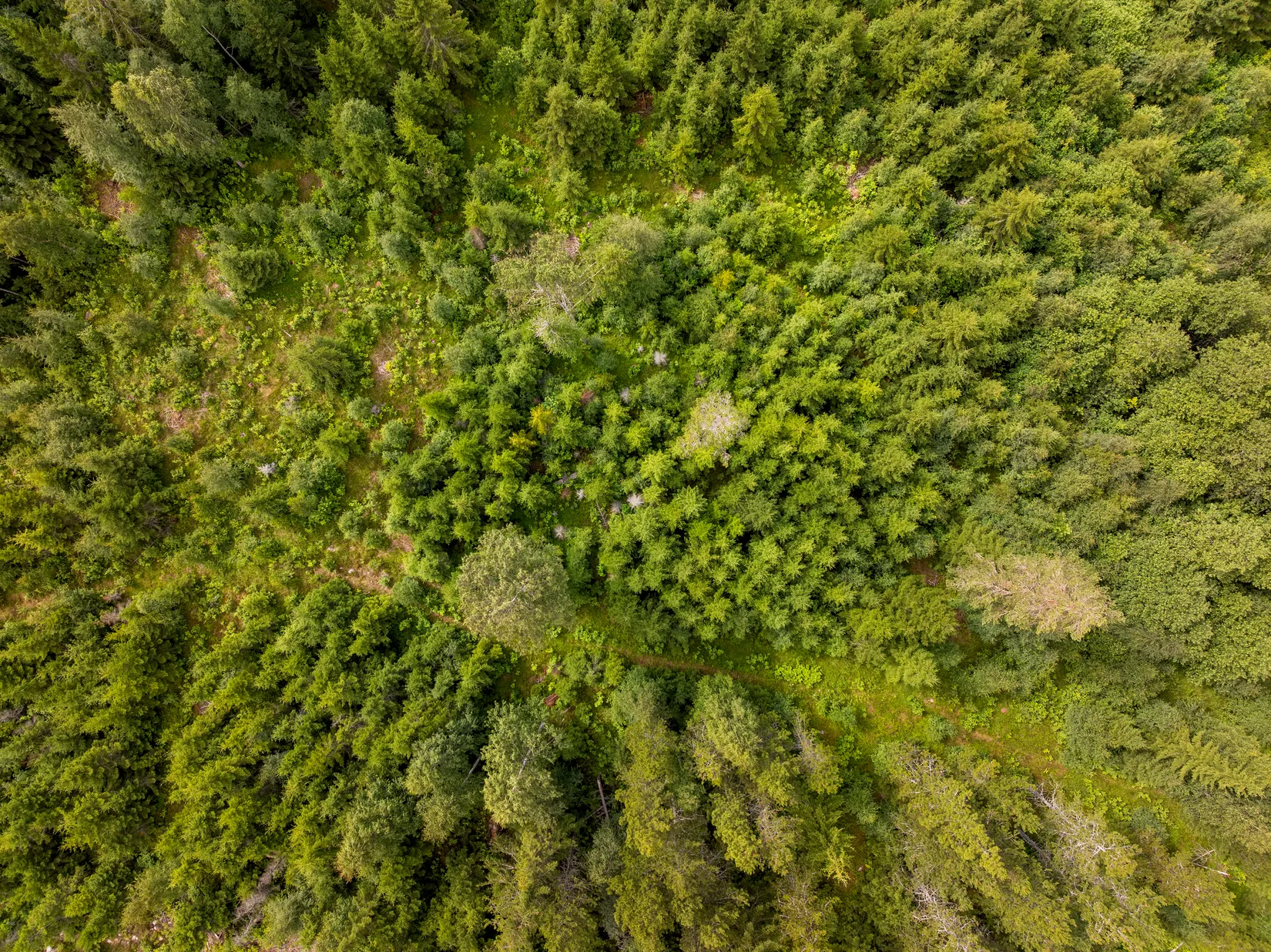 Gård/Skog, Stavre 405, Stavre, Timrå
