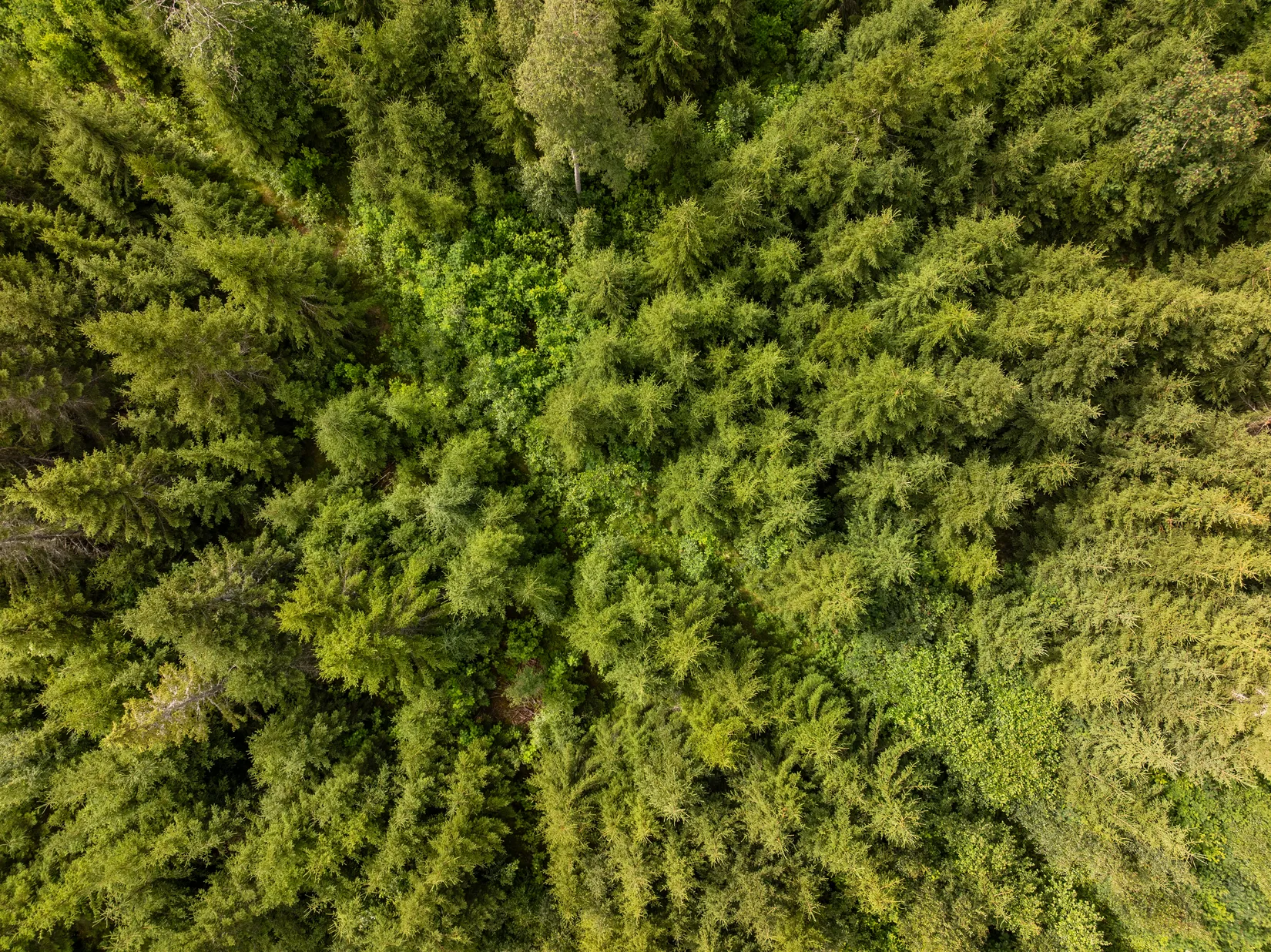 Gård/Skog, Stavre 405, Stavre, Timrå