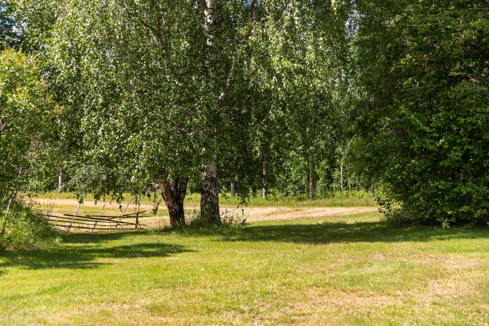 Gård/Skog, Stavre 405, Stavre, Timrå