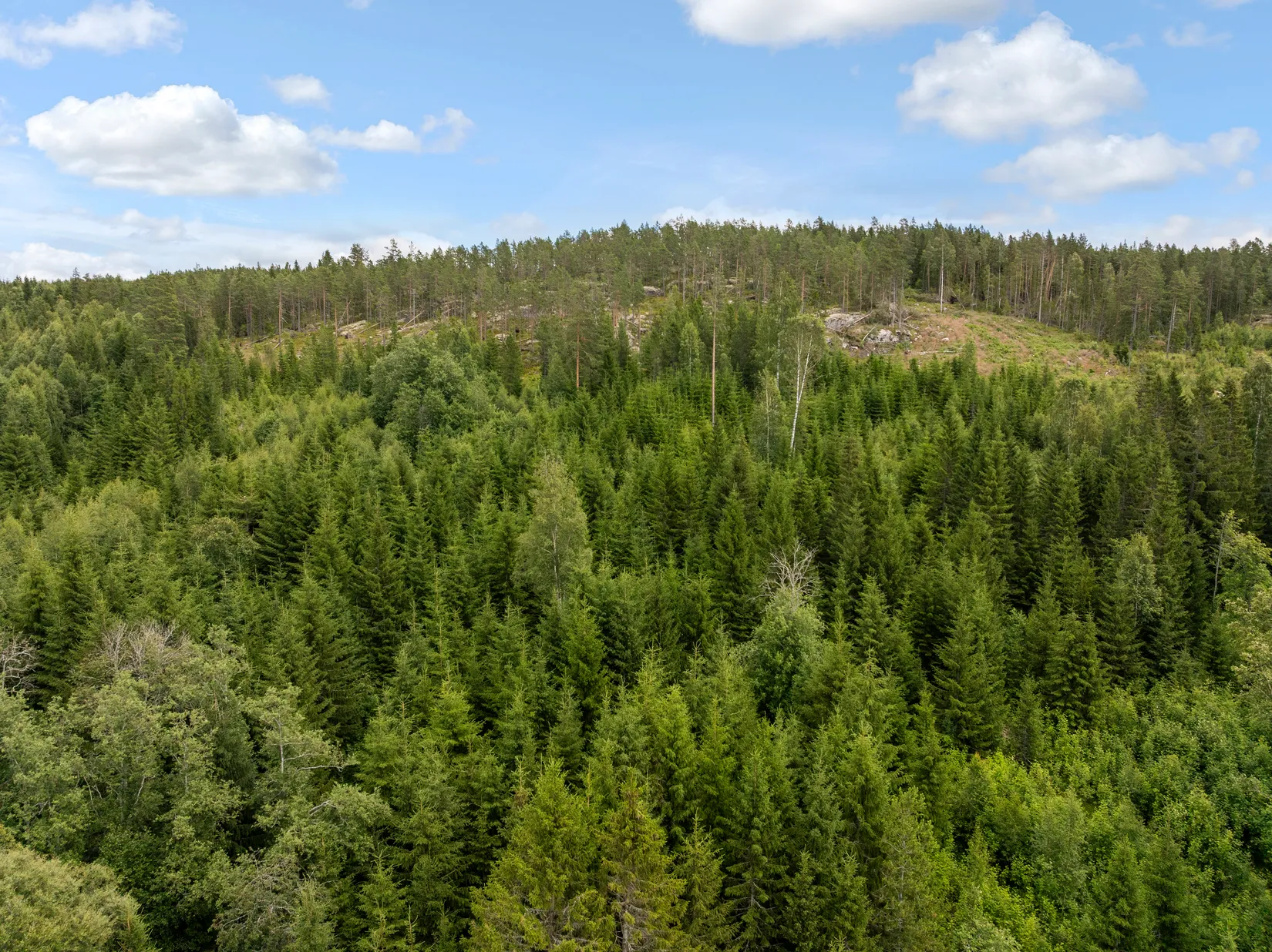 Gård/Skog, Stavre 405, Stavre, Timrå