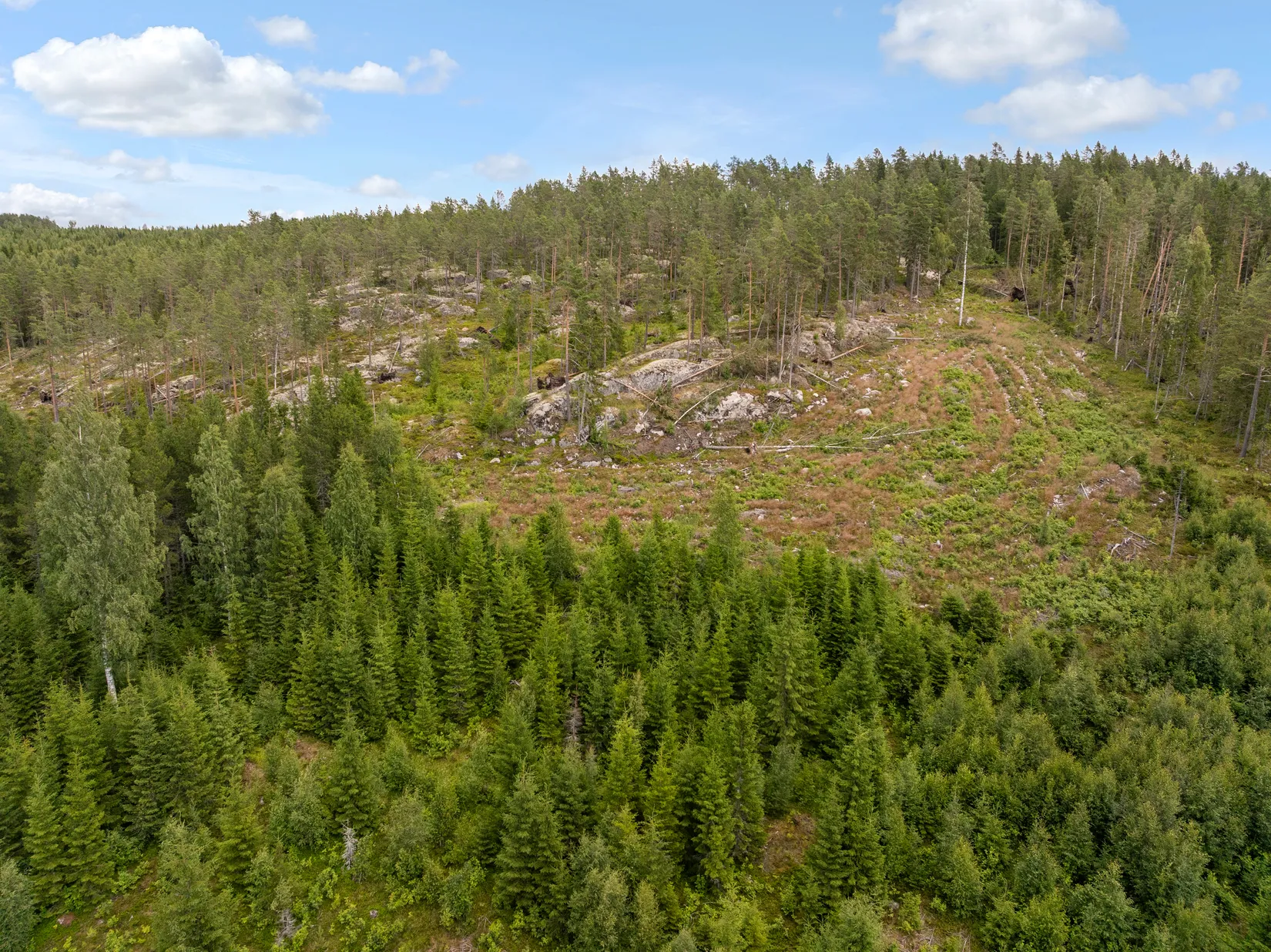 Gård/Skog, Stavre 405, Stavre, Timrå