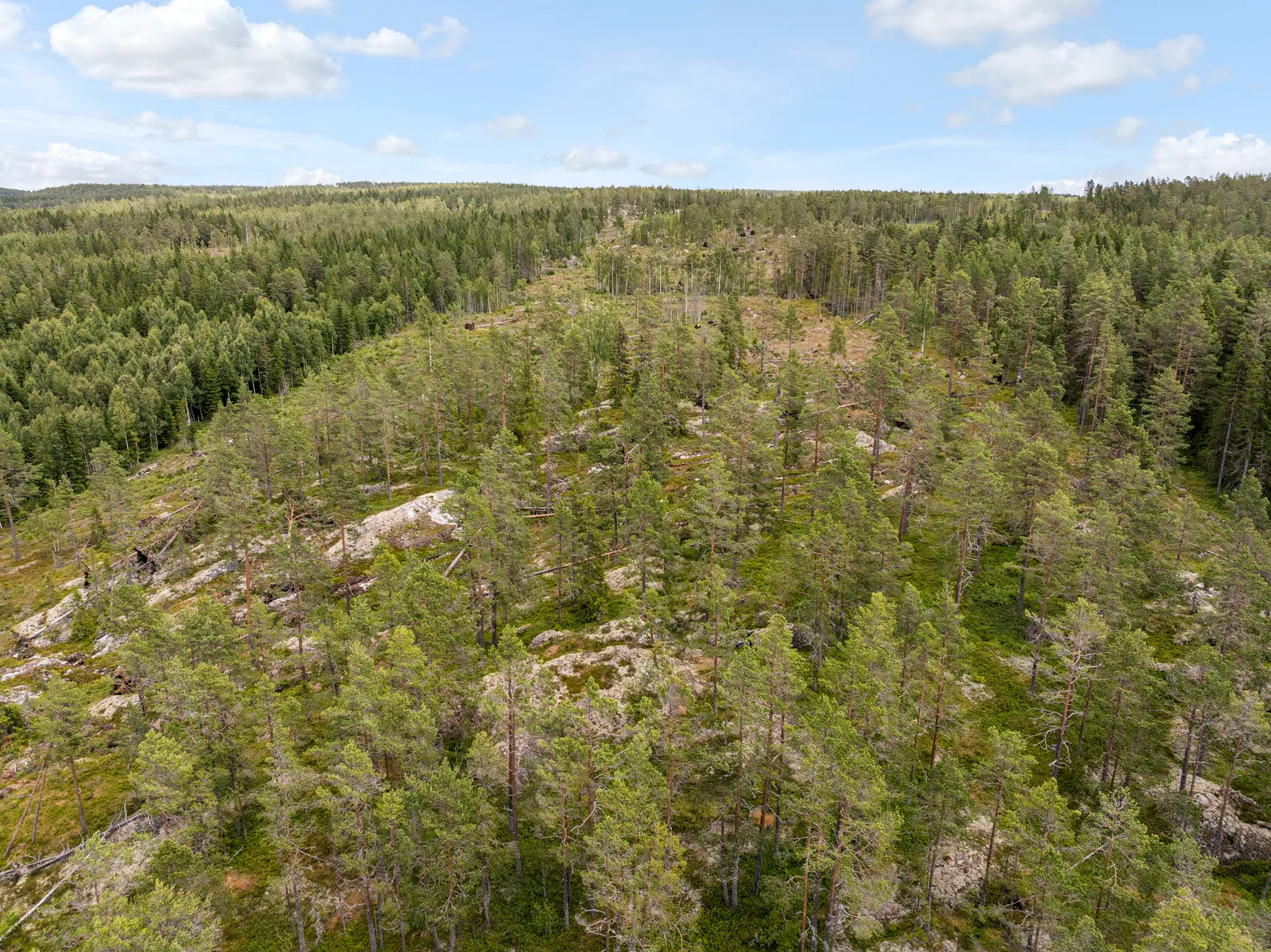 Gård/Skog, Stavre 405, Stavre, Timrå
