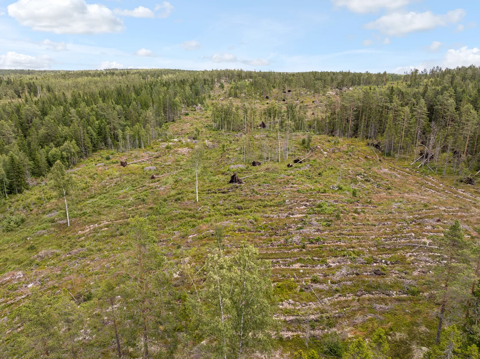 Gård/Skog, Stavre 405, Stavre, Timrå
