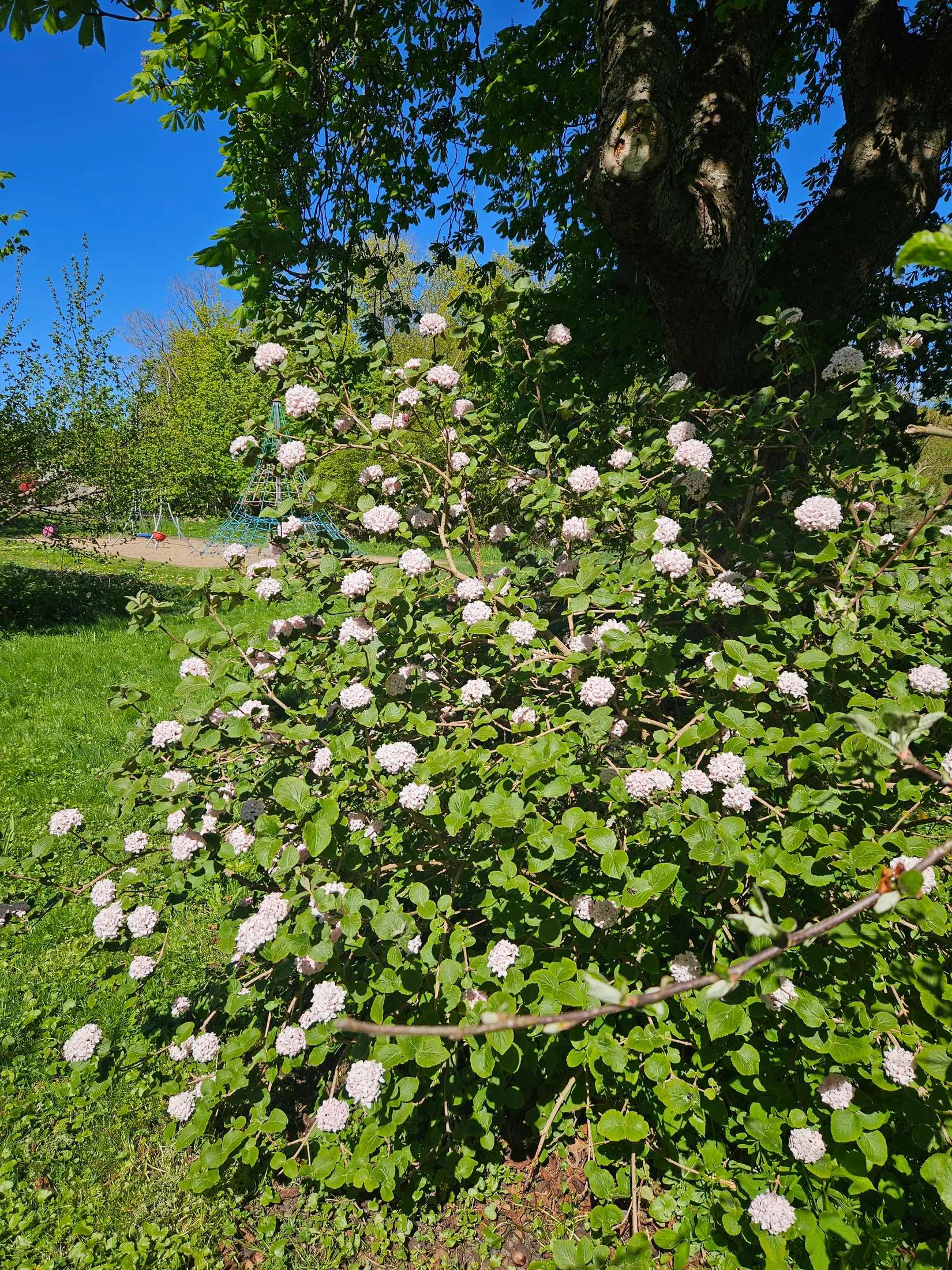 Villa, Gladsax bygata 34, Gladsax, Simrishamn