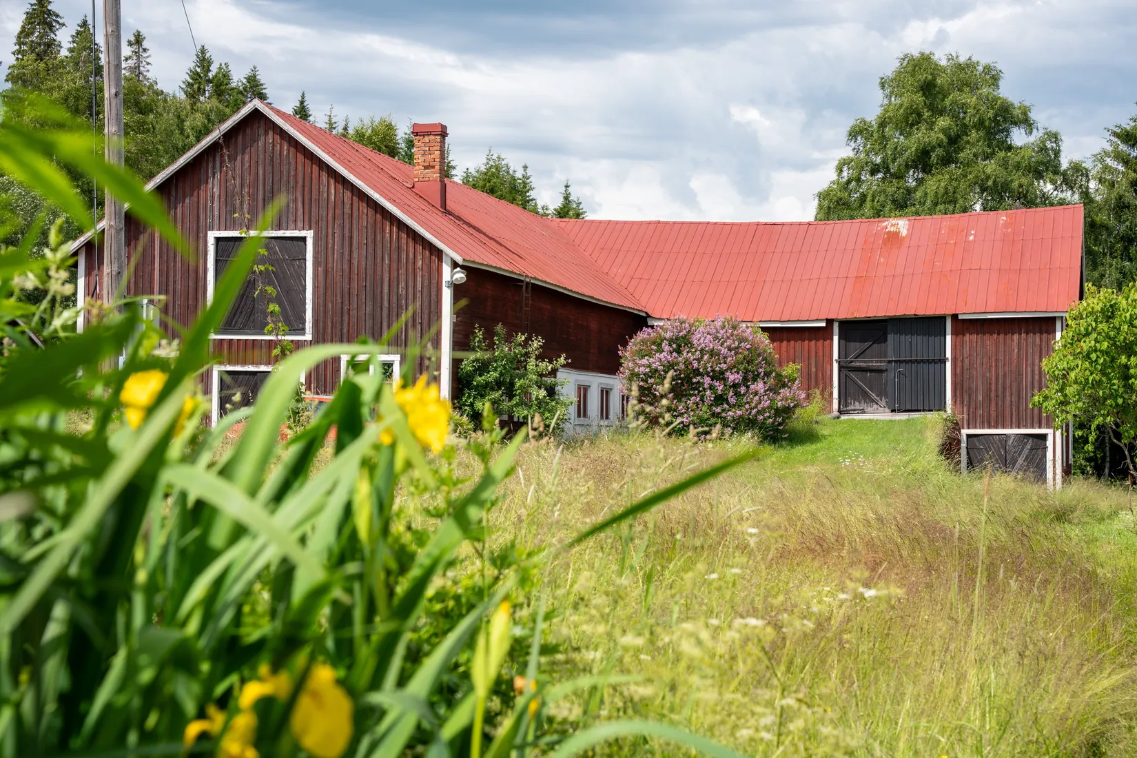 Gård/Skog, Knäfta 110, Kramfors