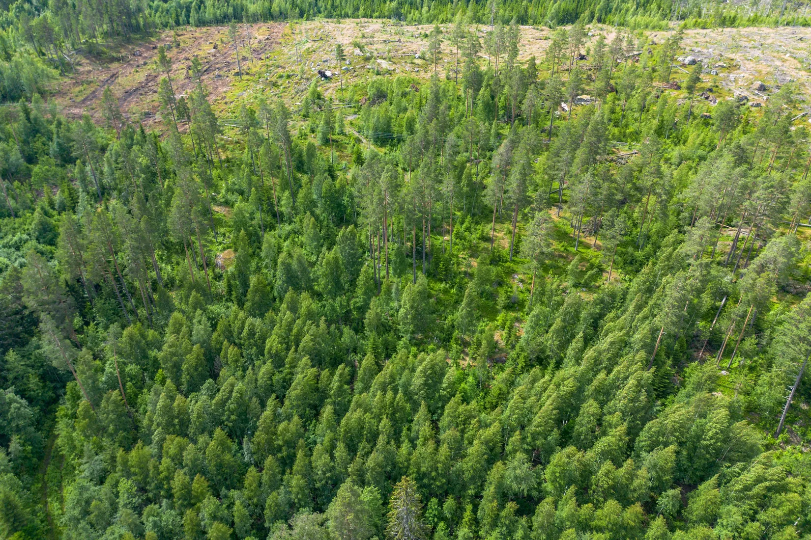 Gård/Skog, Knäfta 110, Kramfors