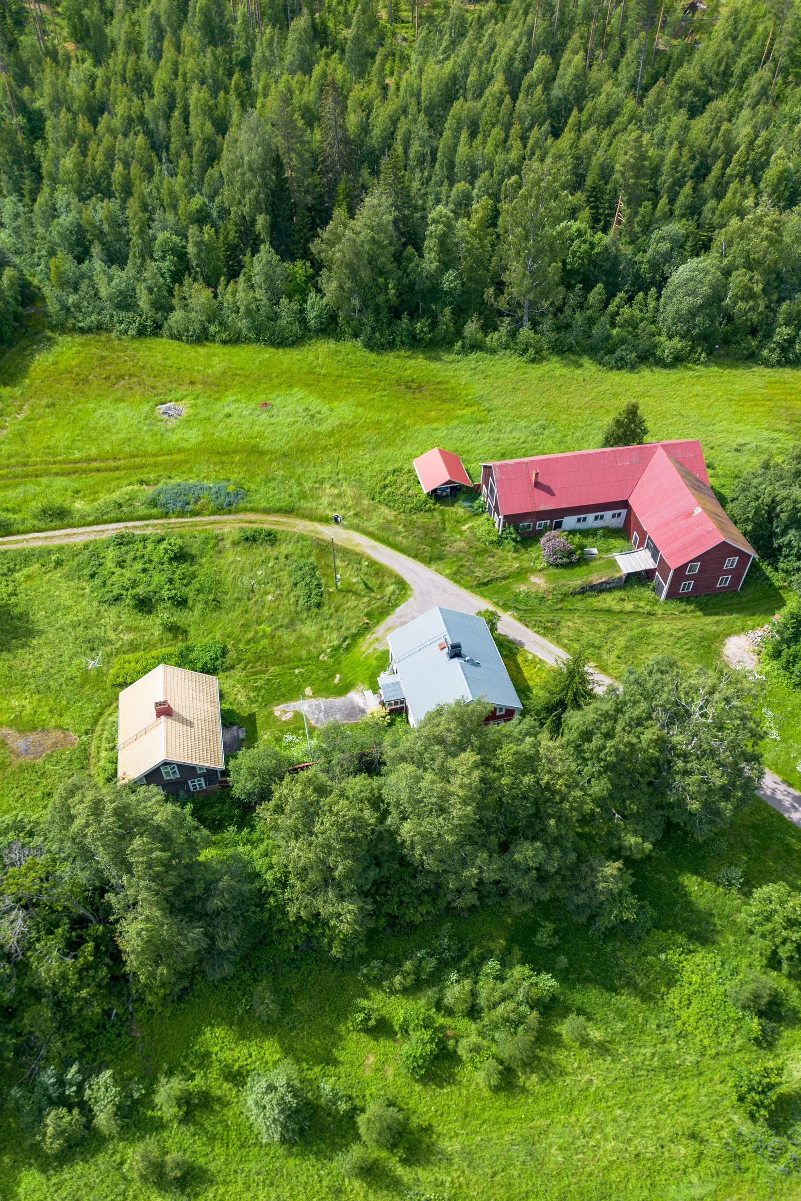 Gård/Skog, Knäfta 110, Kramfors