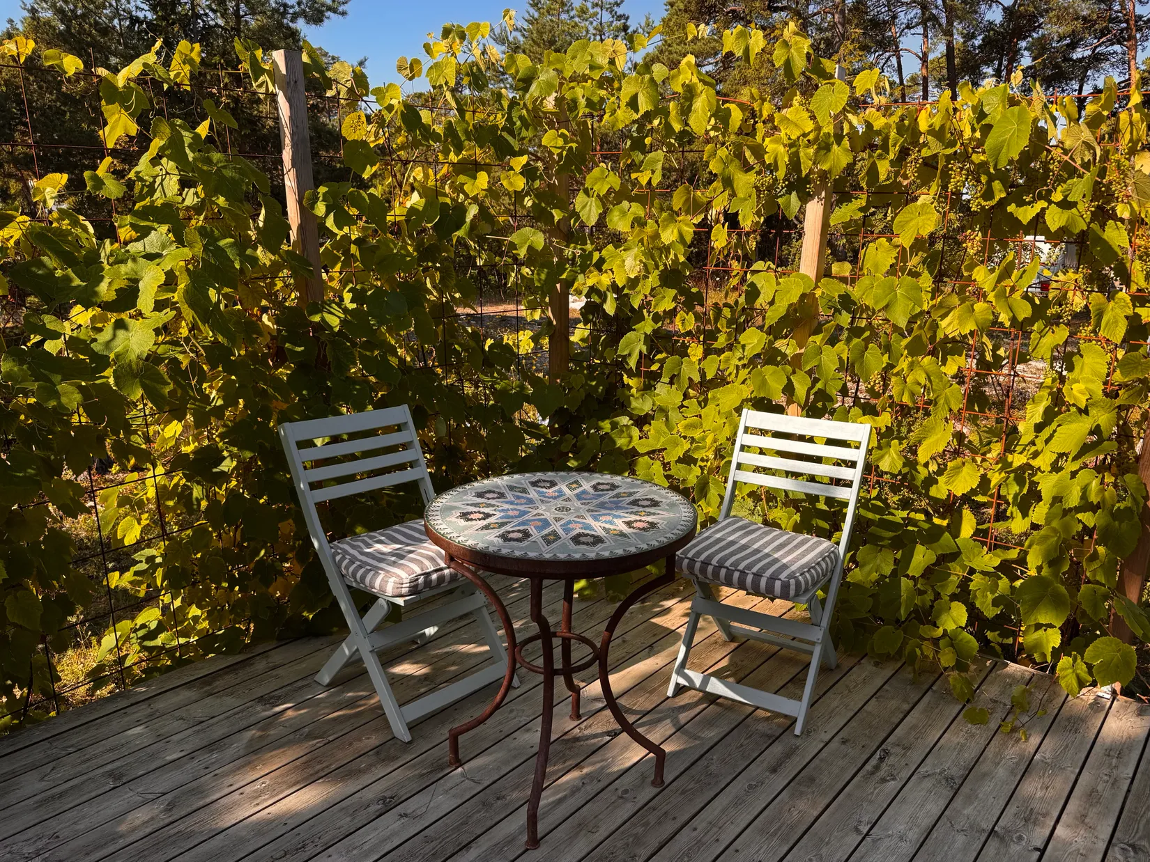 Fritidshus, Åsvägen 36, Tofta  - Västra Gotland, Gotland
