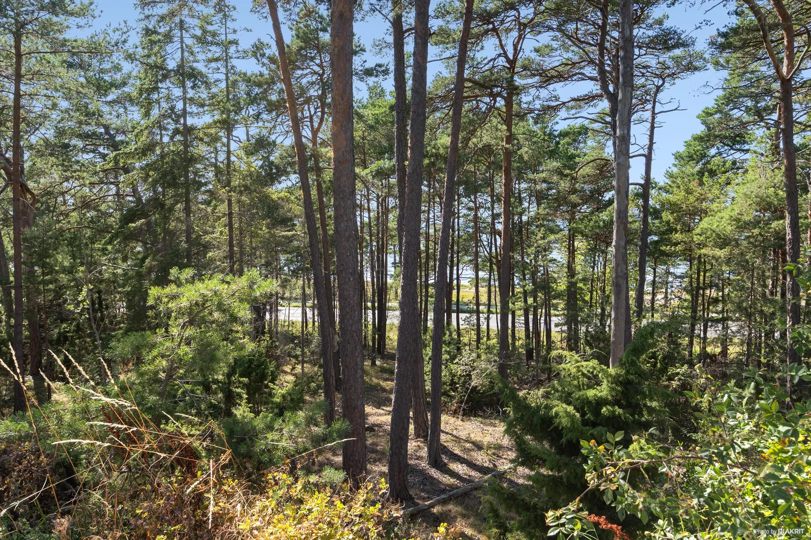 Fritidshus, Åsvägen 36, Tofta  - Västra Gotland, Gotland