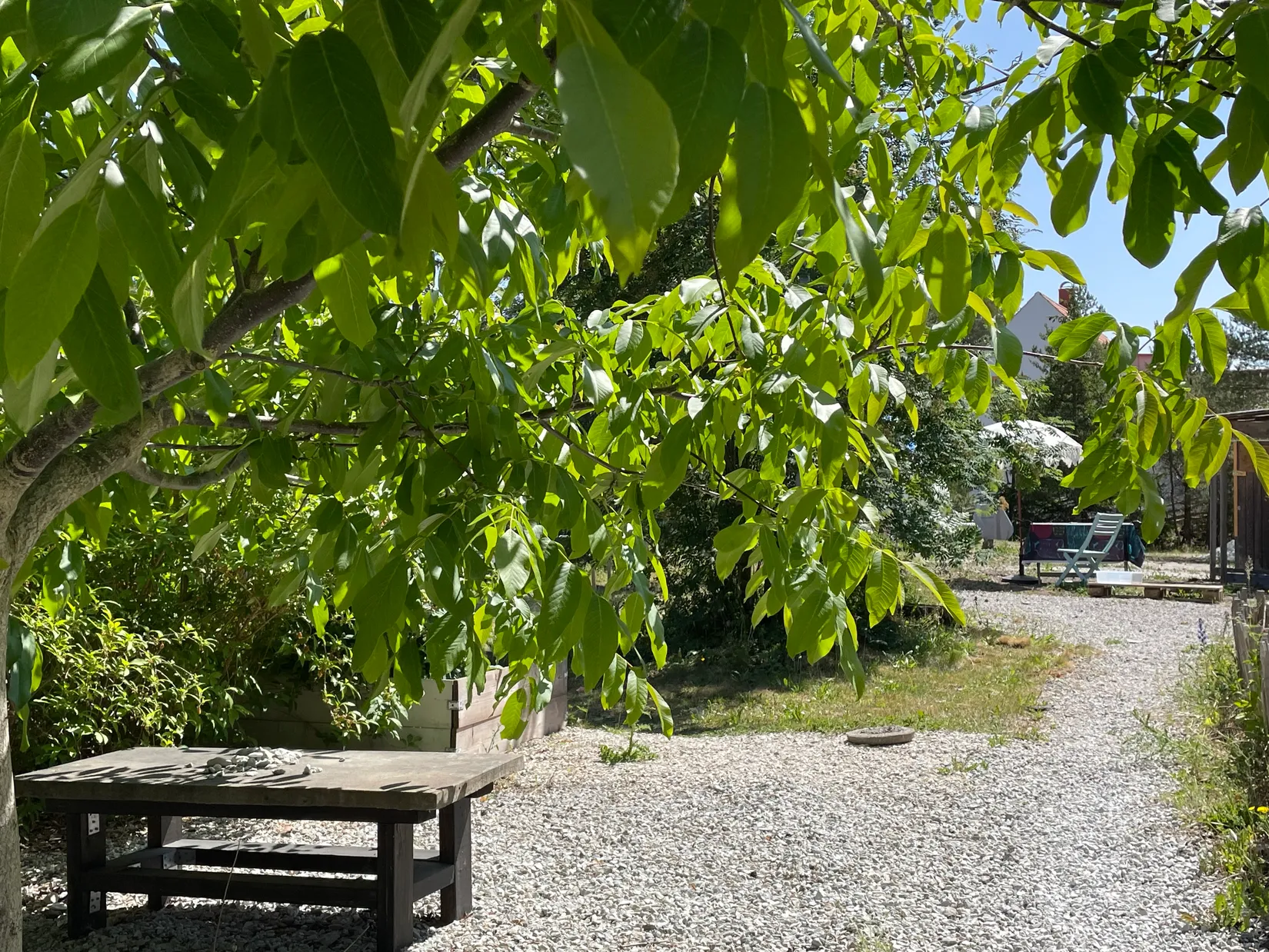 Fritidshus, Åsvägen 36, Tofta  - Västra Gotland, Gotland