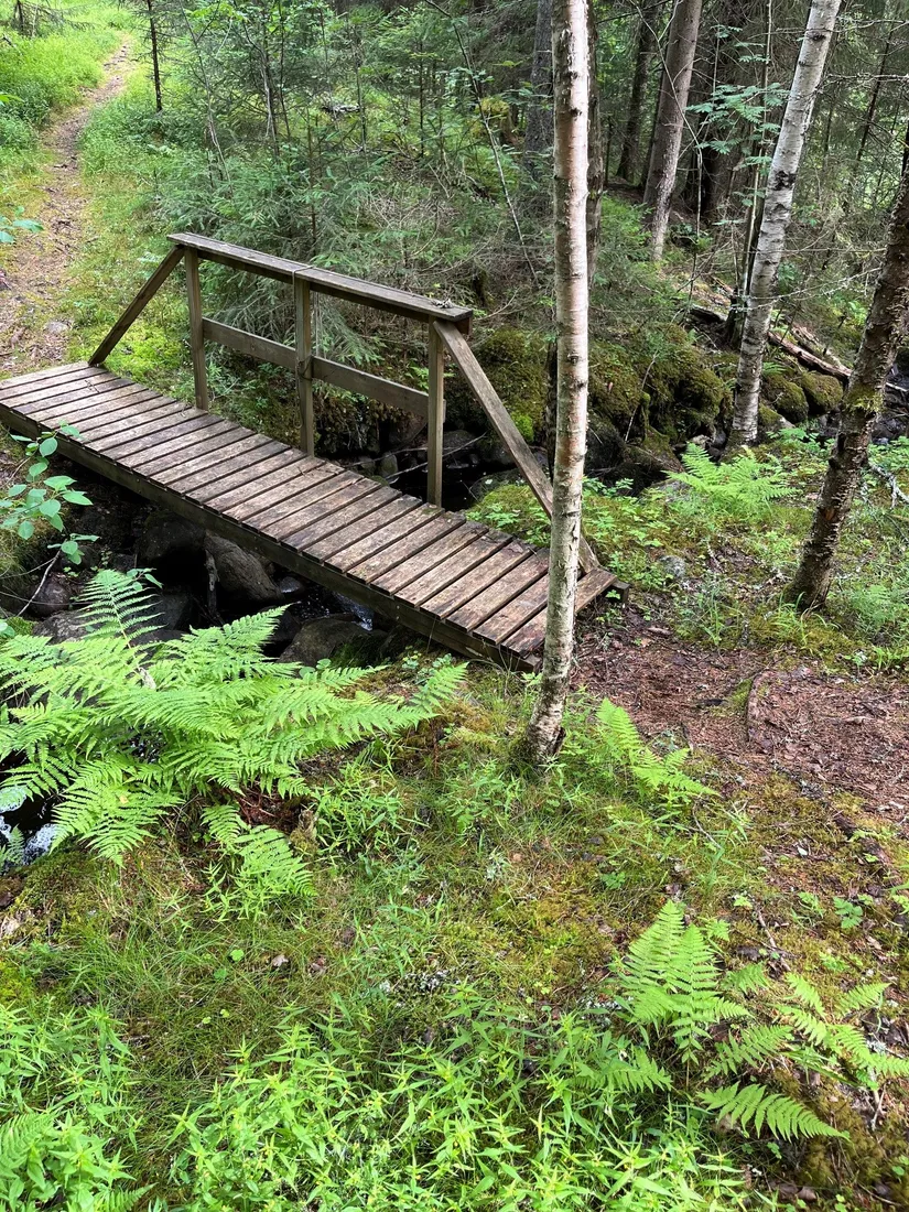 Gård/Skog, Nedre Lid Kalvhagen, Sunnemo Nedre Lid, Hagfors