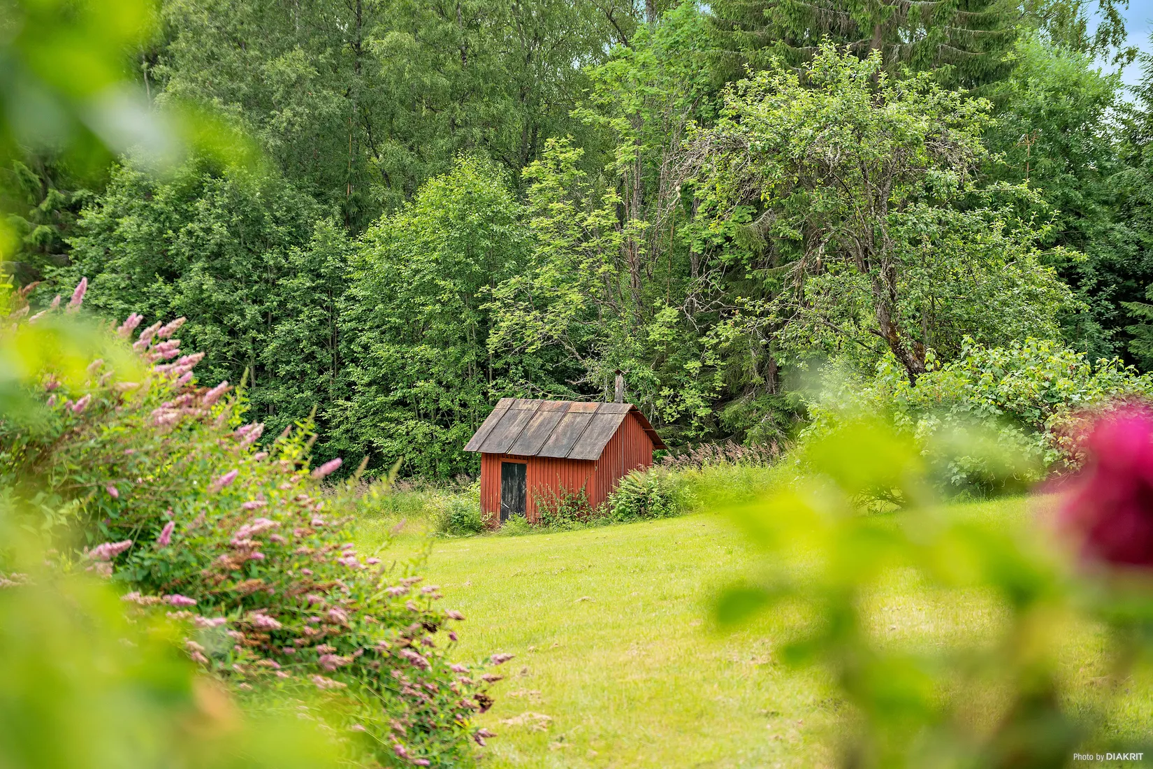 Gård/Skog, Nedre Lid Kalvhagen, Sunnemo Nedre Lid, Hagfors