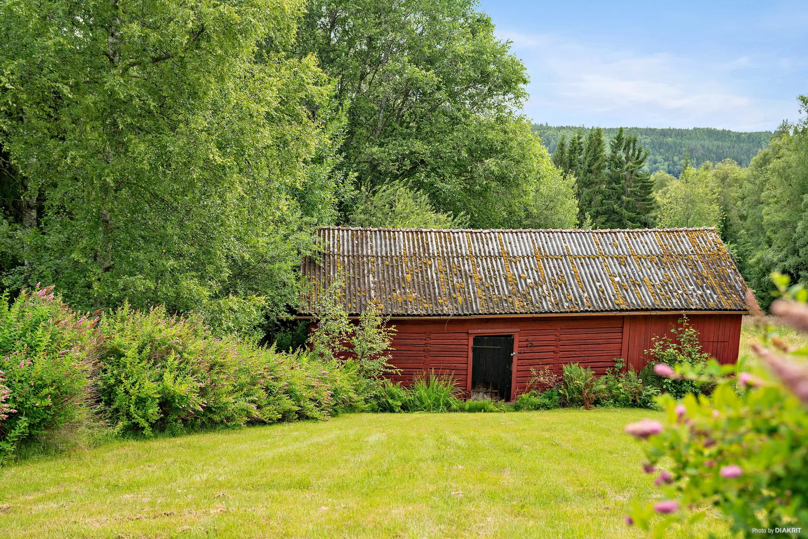Gård/Skog, Nedre Lid Kalvhagen, Sunnemo Nedre Lid, Hagfors