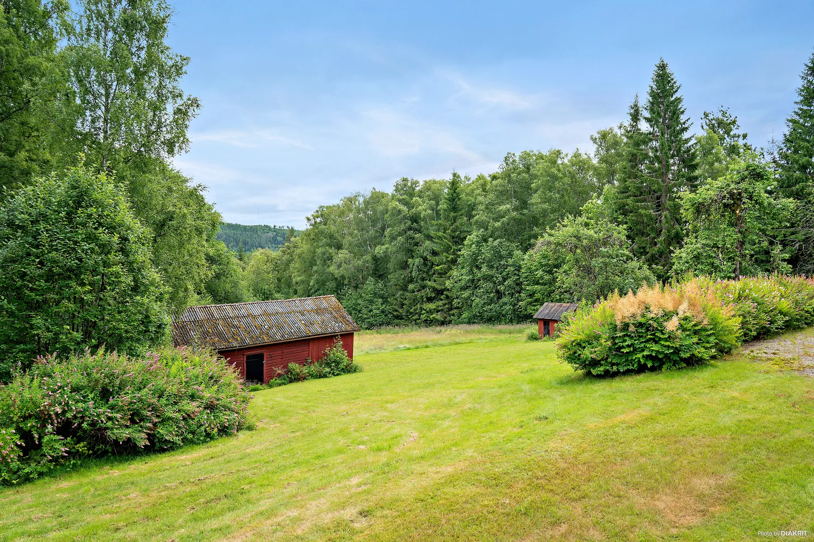 Gård/Skog, Nedre Lid Kalvhagen, Sunnemo Nedre Lid, Hagfors