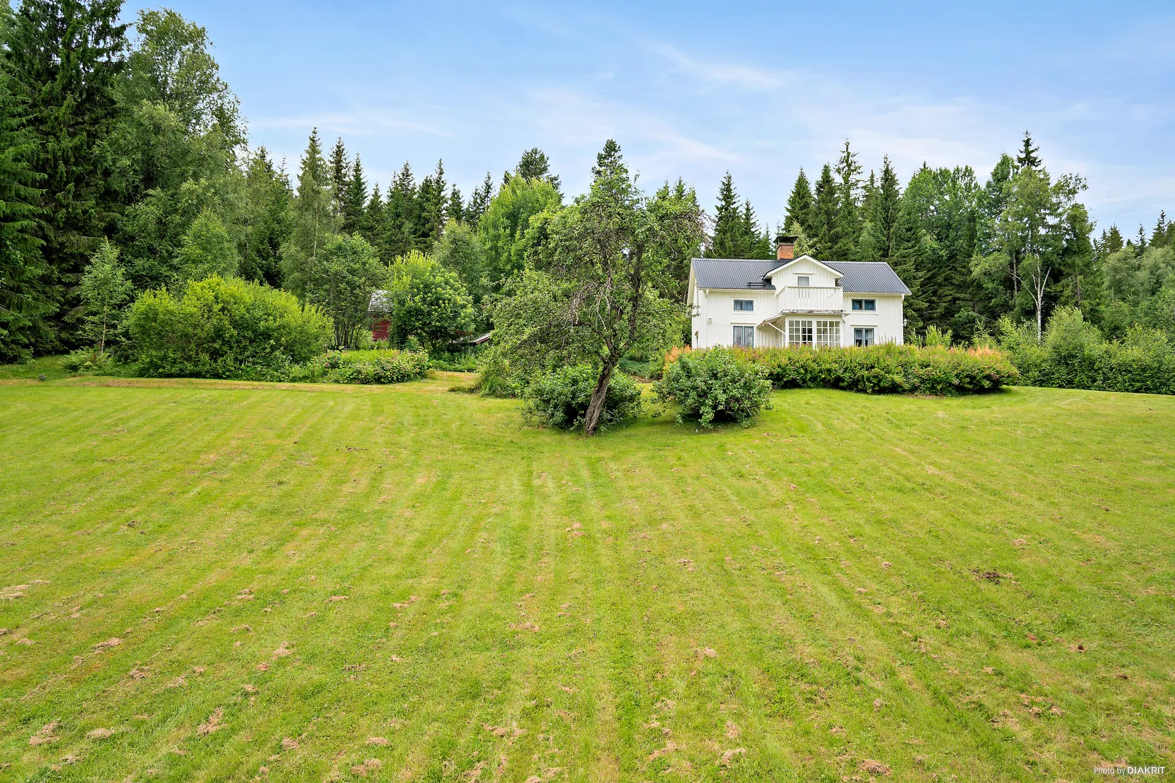 Gård/Skog, Nedre Lid Kalvhagen, Sunnemo Nedre Lid, Hagfors