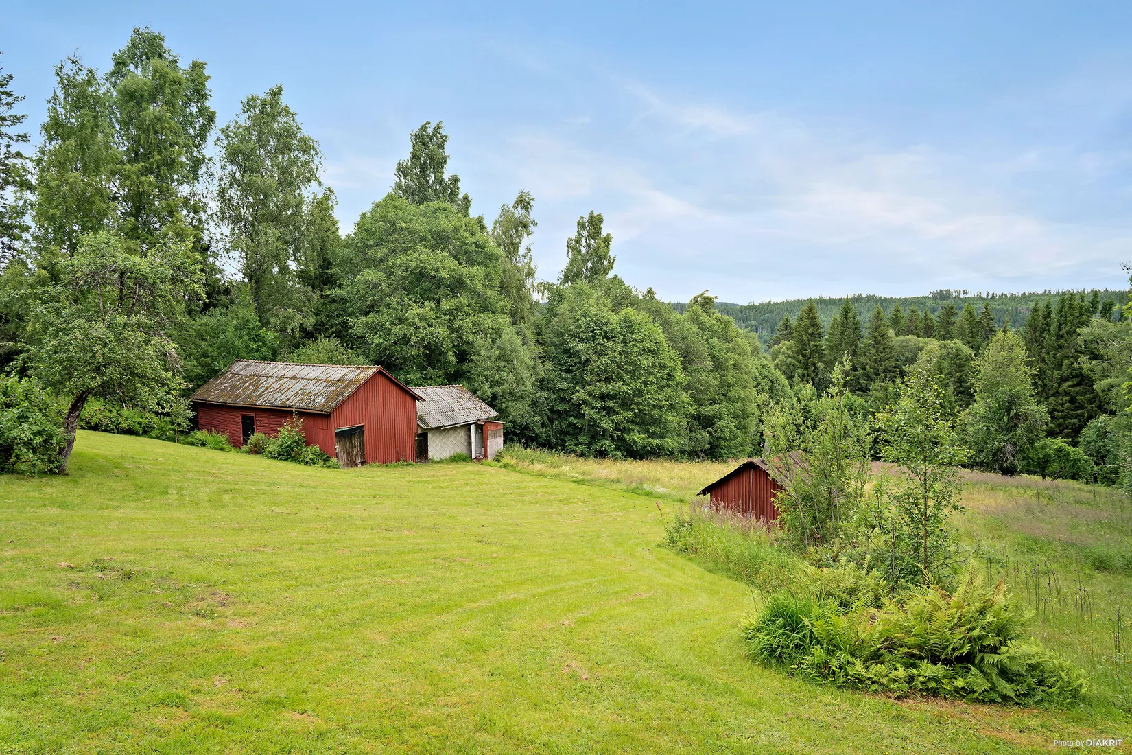 Gård/Skog, Nedre Lid Kalvhagen, Sunnemo Nedre Lid, Hagfors