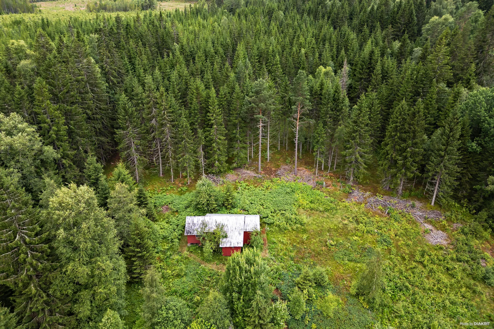 Gård/Skog, Nedre Lid Kalvhagen, Sunnemo Nedre Lid, Hagfors