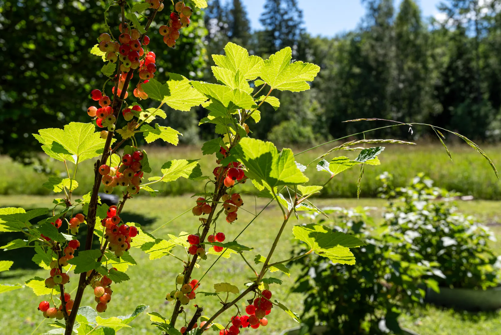 Fritidshus, Hällenvägen 9, Grimsättra, Norrtälje