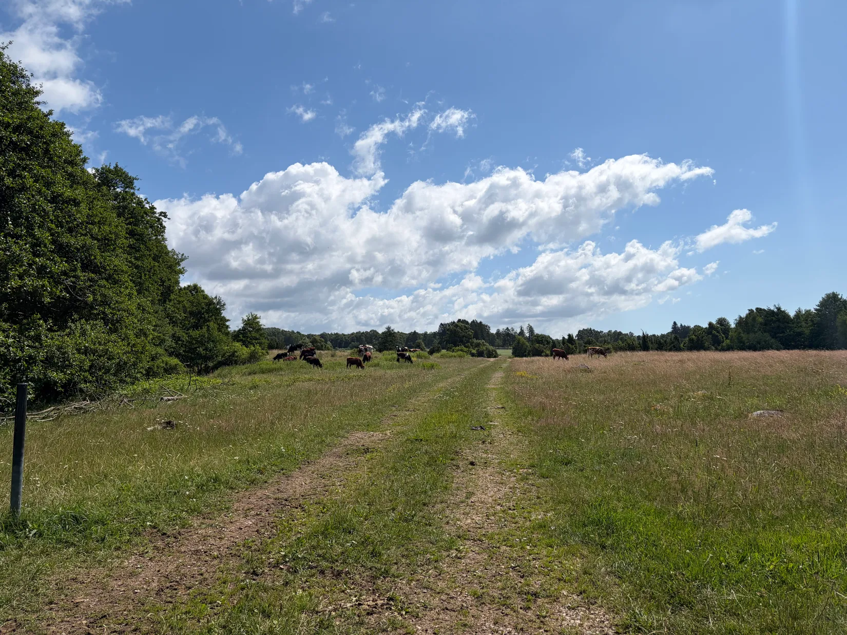 Fritidshus, Hänninge 408, Hänninge, Höör