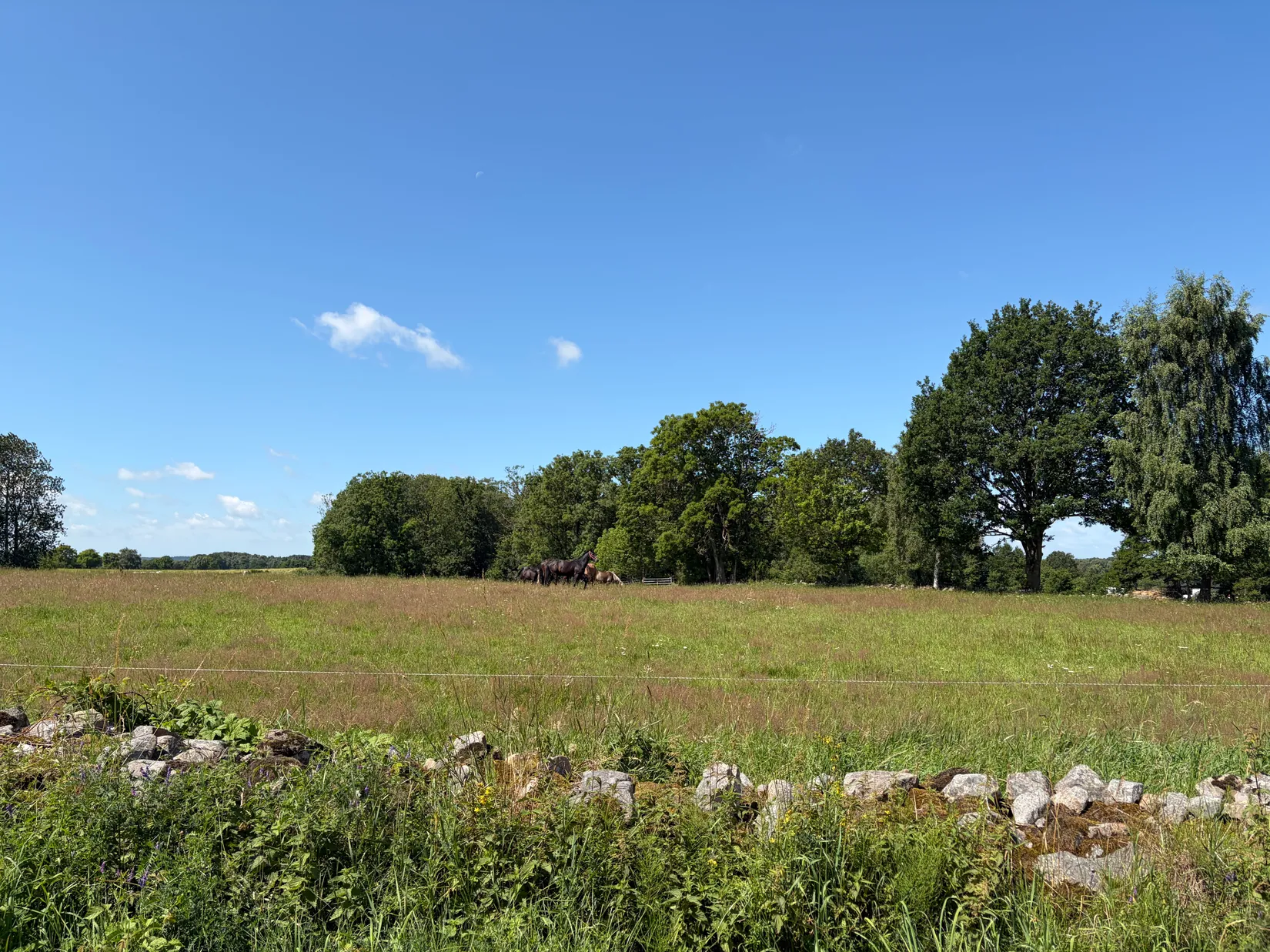 Fritidshus, Hänninge 408, Hänninge, Höör
