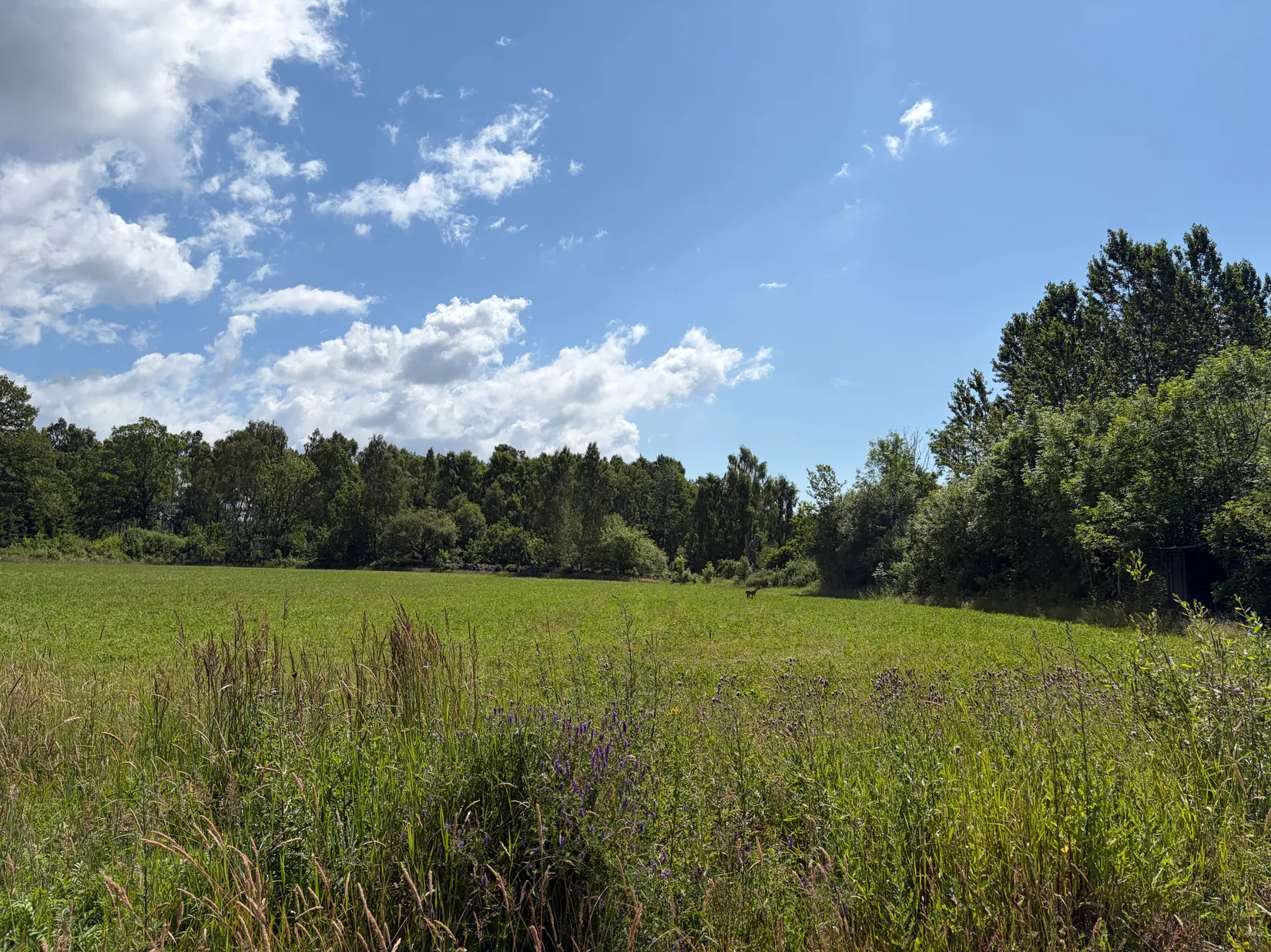 Fritidshus, Hänninge 408, Hänninge, Höör