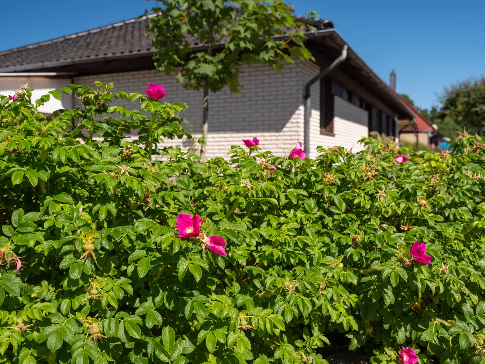 Villa, Stabbgårdsgatan 36, Hemse, Gotland