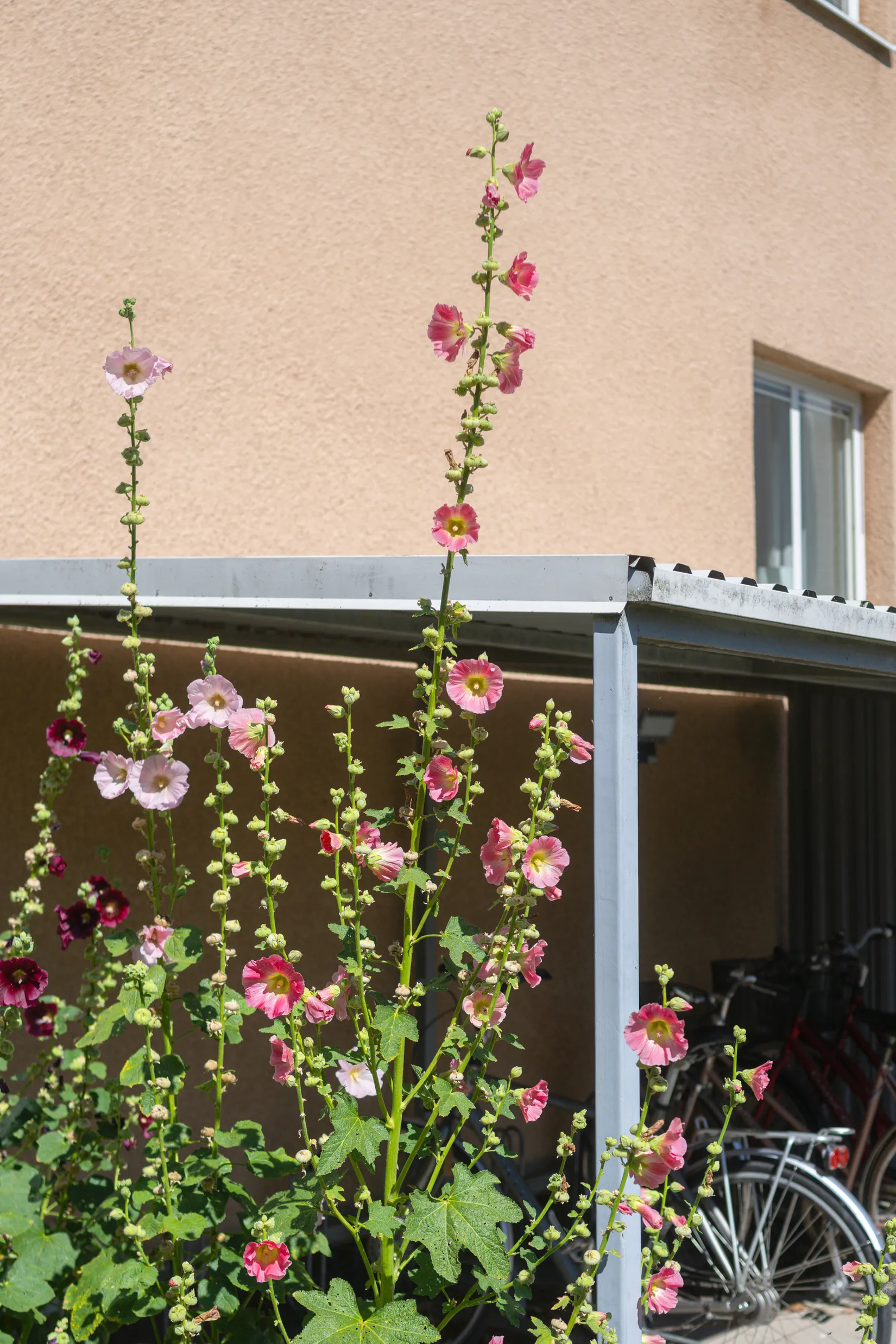 Bostadsrätt, Vegagatan 8A, Bremerlyckan, Kalmar