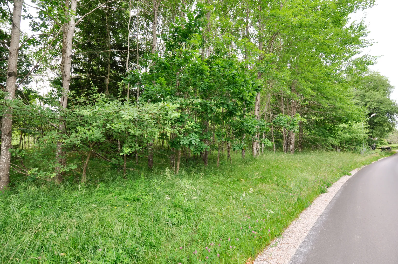 Tomt, Naturtomt på landet, Misterhult, Markaryd