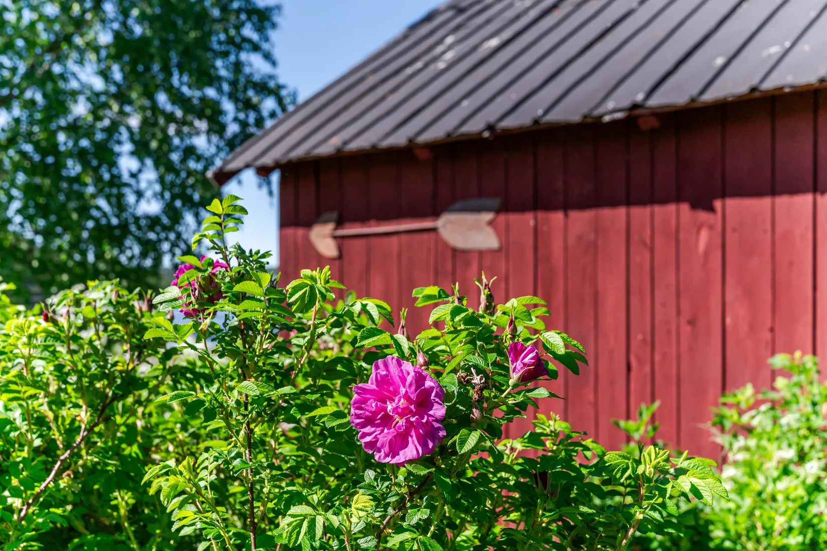 Villa, Albyvägen 37, Alby, Ånge