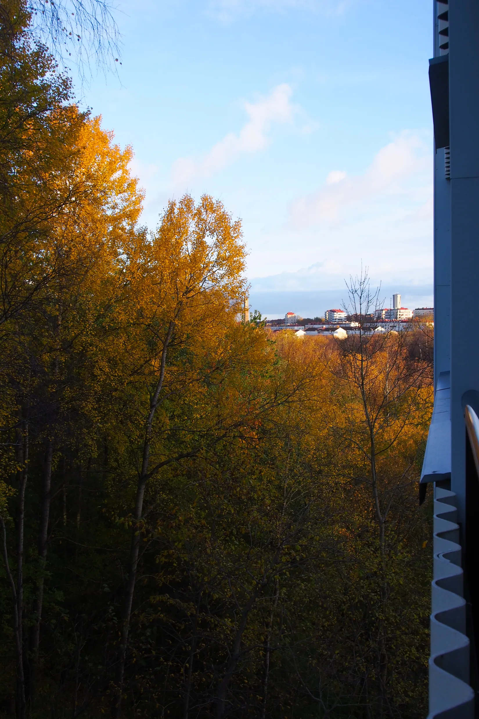 Bostadsrätt, Doktor Forselius gata 18, Södra Guldheden, Göteborg