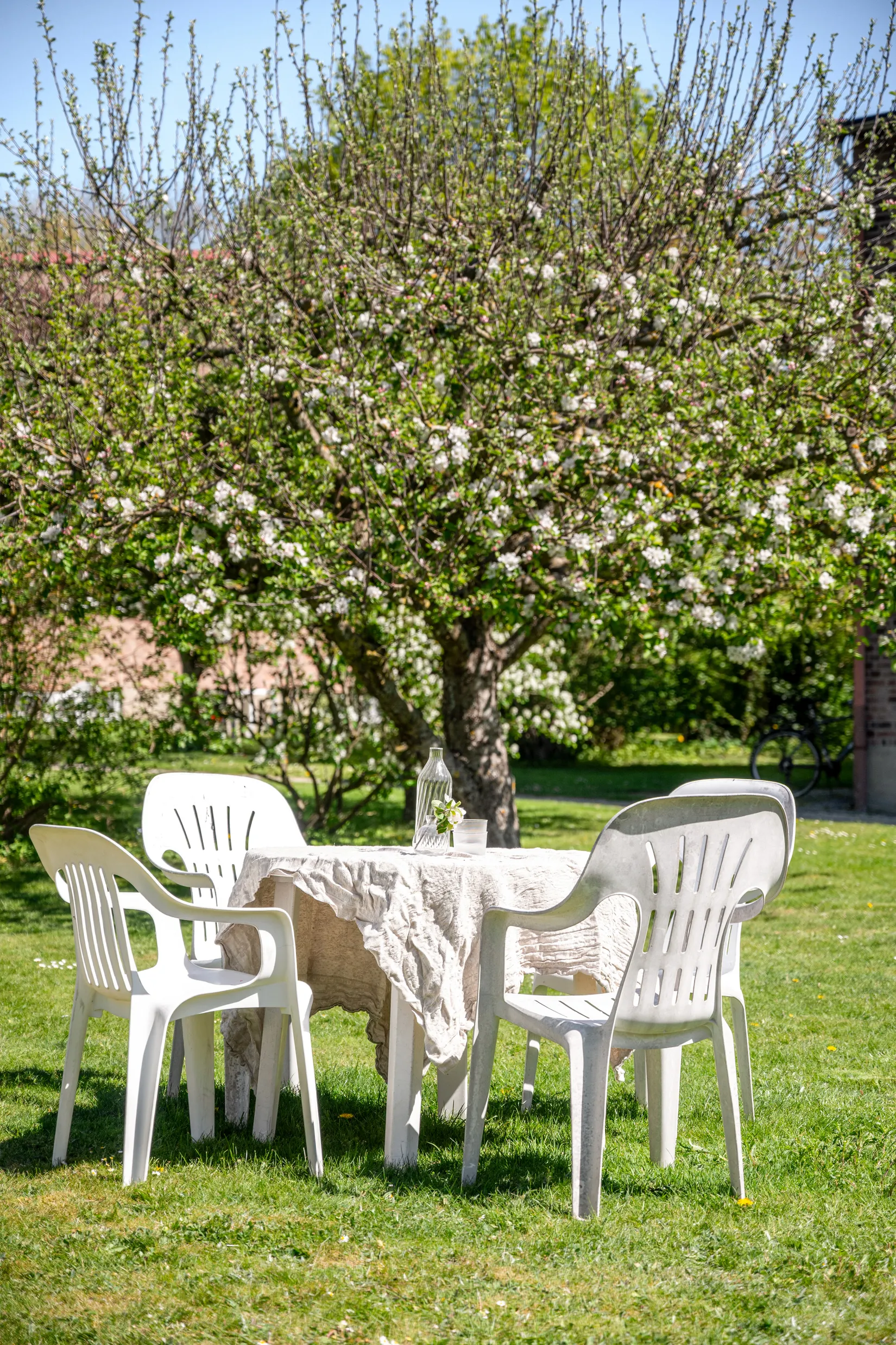 Bostadsrätt, Linnégatan 19, Professorsstaden, Lund