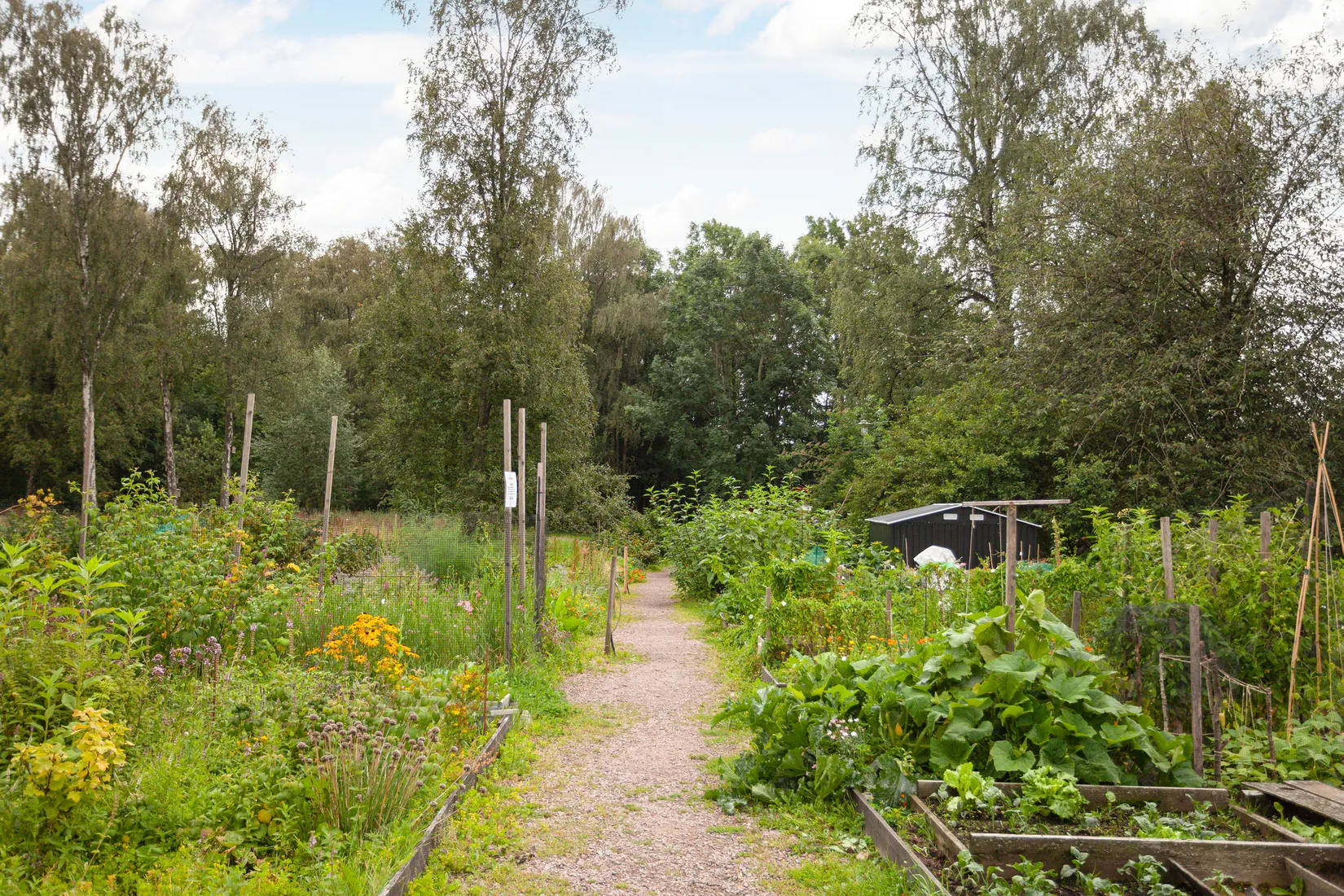 Bostadsrätt, Bomgatan 10B, Almedal, Göteborg
