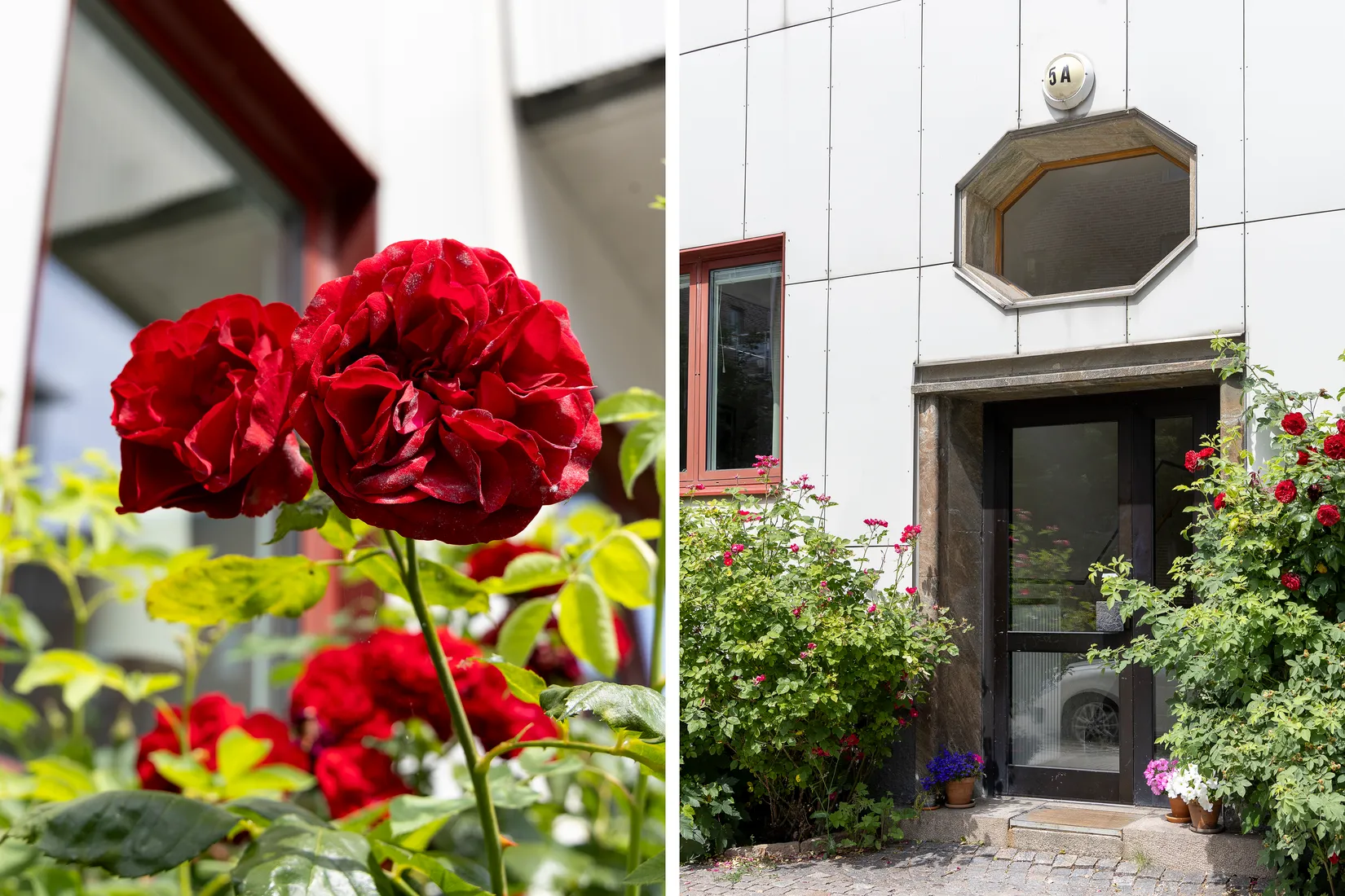 Bostadsrätt, Revingegatan 5A, Lund