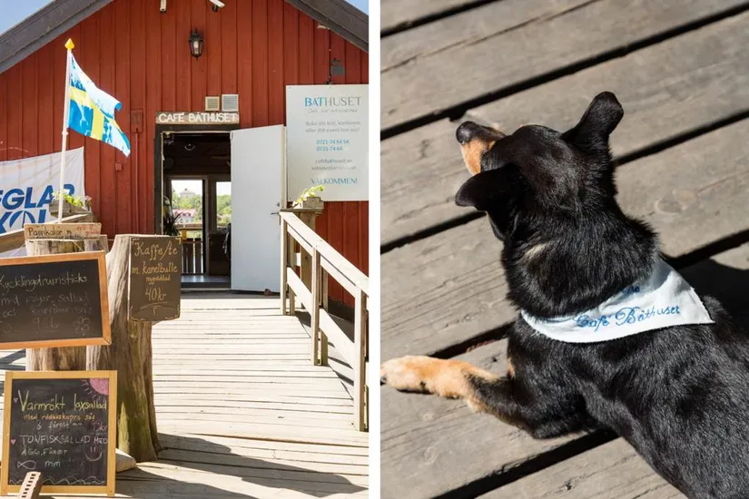 Bostadsrätt, Arvid Tydéns allé 16, Solna