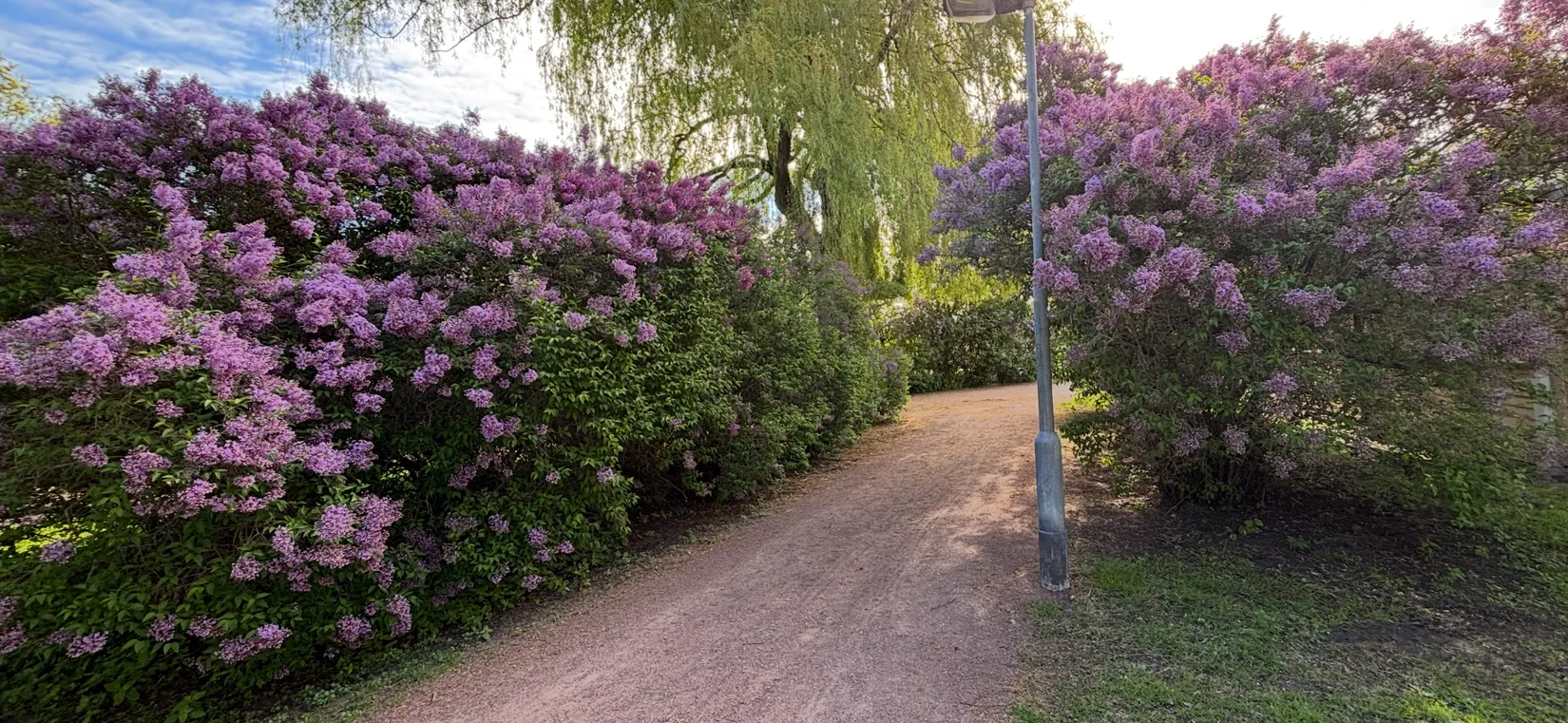Bostadsrätt, Sallerupsvägen 26 C, Ellstorp, Malmö