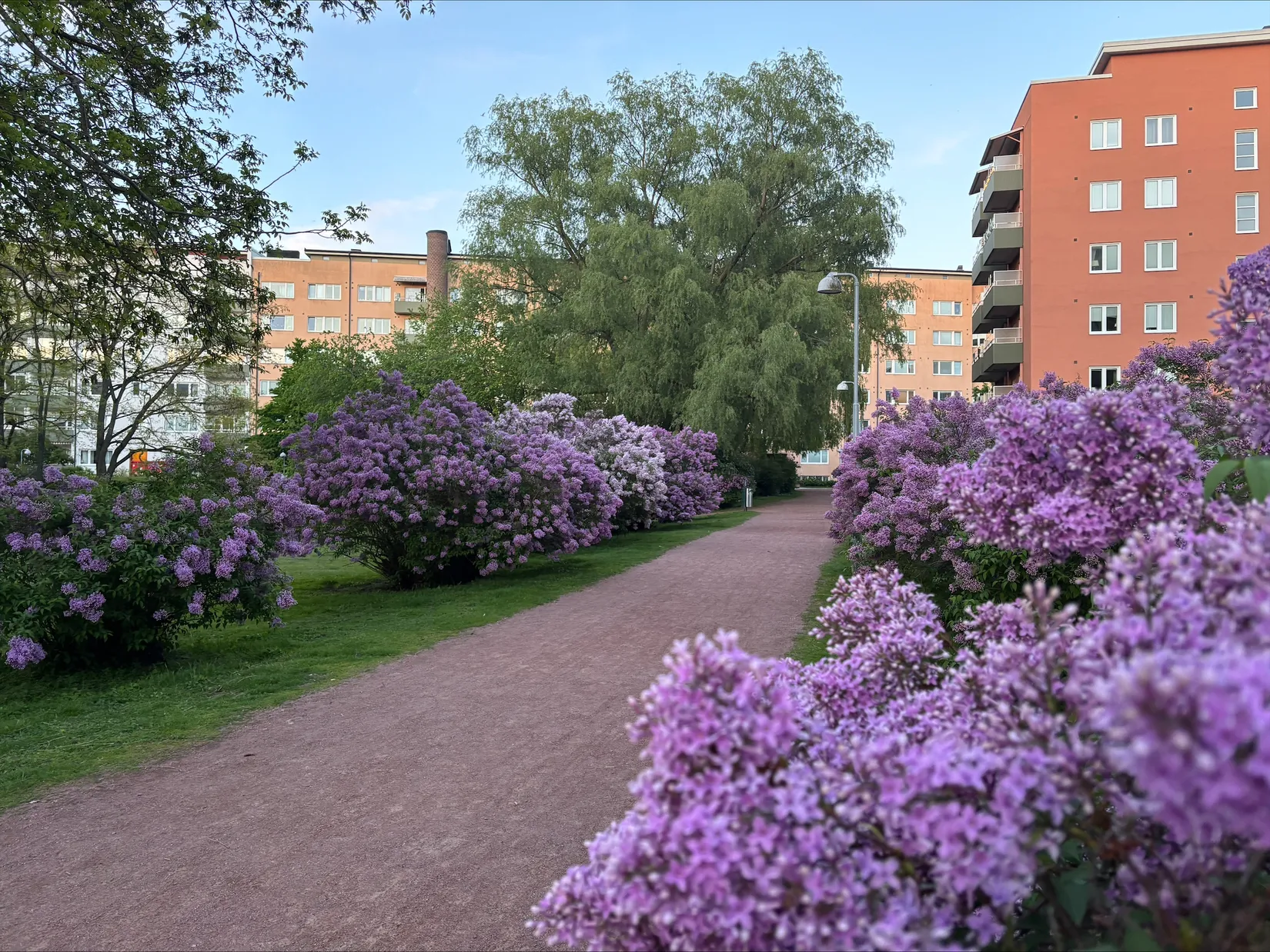 Bostadsrätt, Sallerupsvägen 26 C, Ellstorp, Malmö