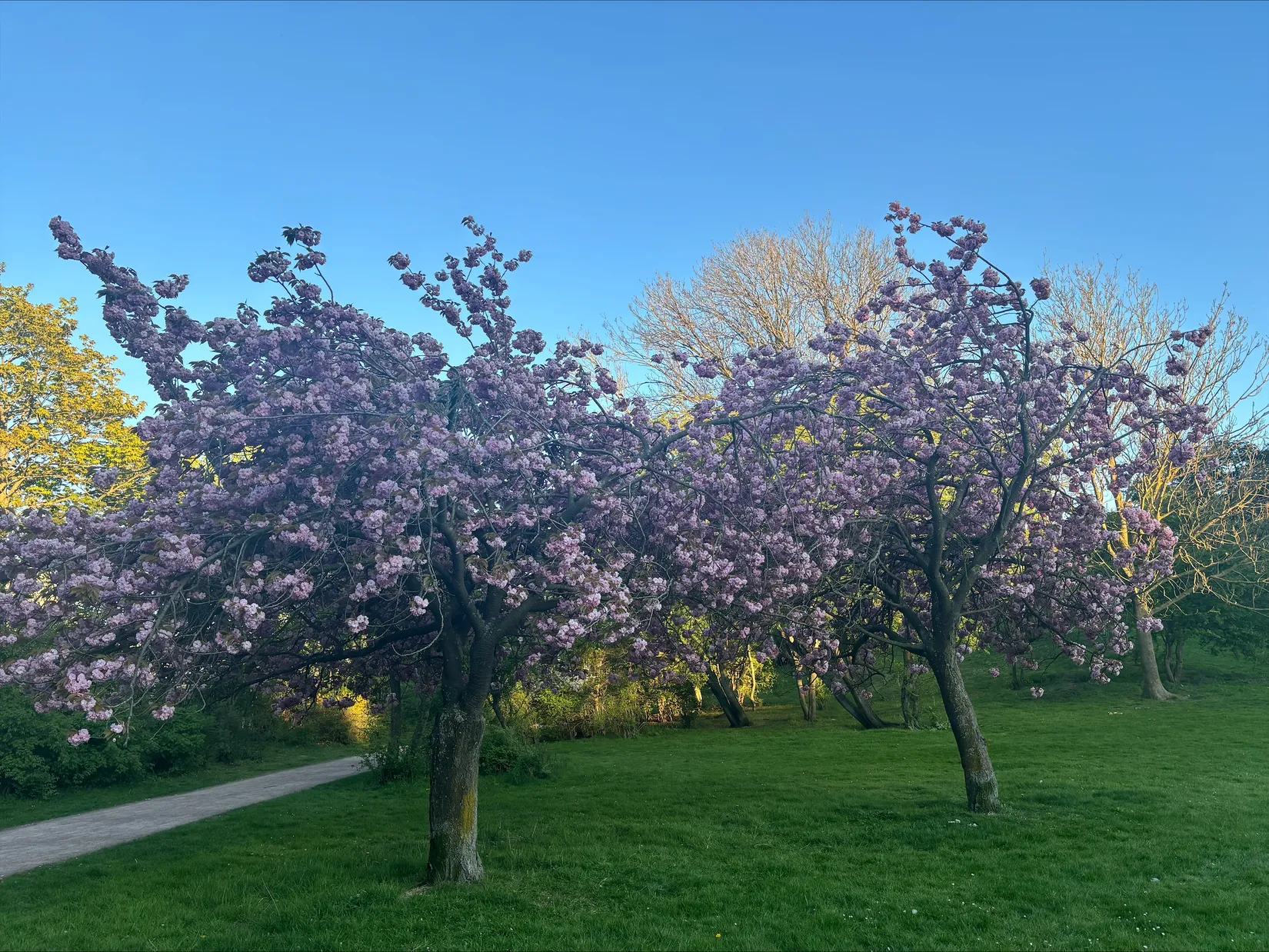 Bostadsrätt, Sallerupsvägen 26 C, Ellstorp, Malmö