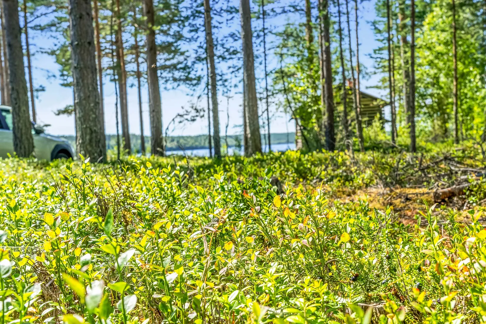 Gård/Skog, Näset Sandnäsvägen 35, Furudal Näset, Rättvik