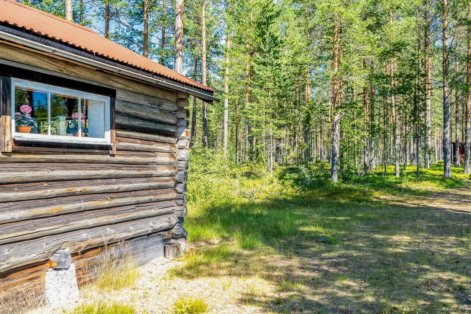 Gård/Skog, Näset Sandnäsvägen 35, Furudal Näset, Rättvik