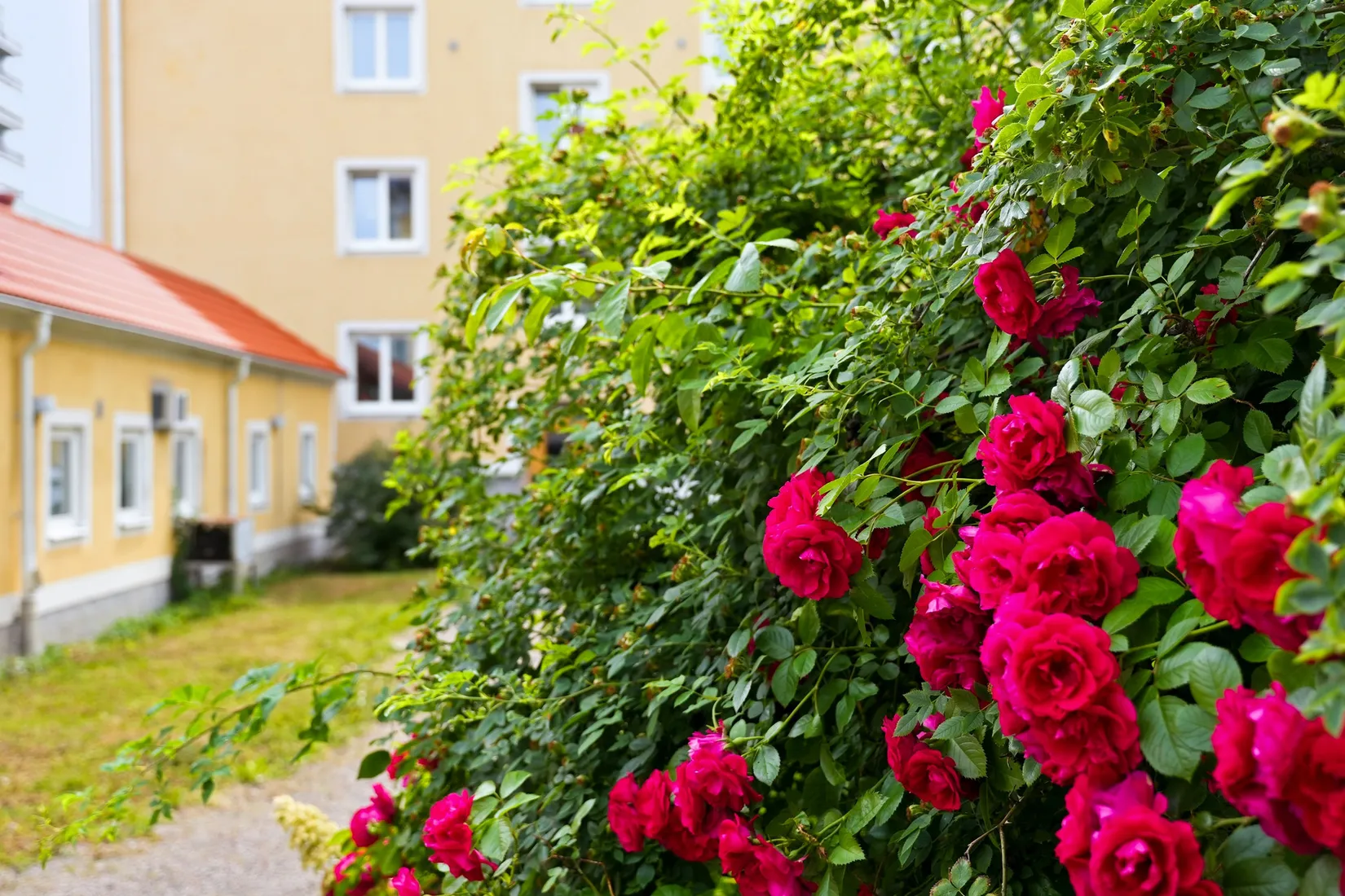 Bostadsrätt, S:t Olofsgatan 66B, Höganäs, Uppsala