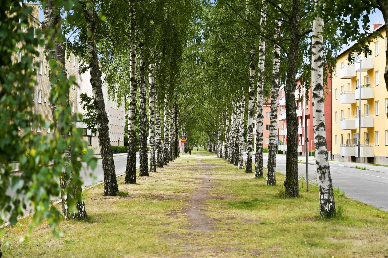 Bostadsrätt, S:t Olofsgatan 66B, Höganäs, Uppsala