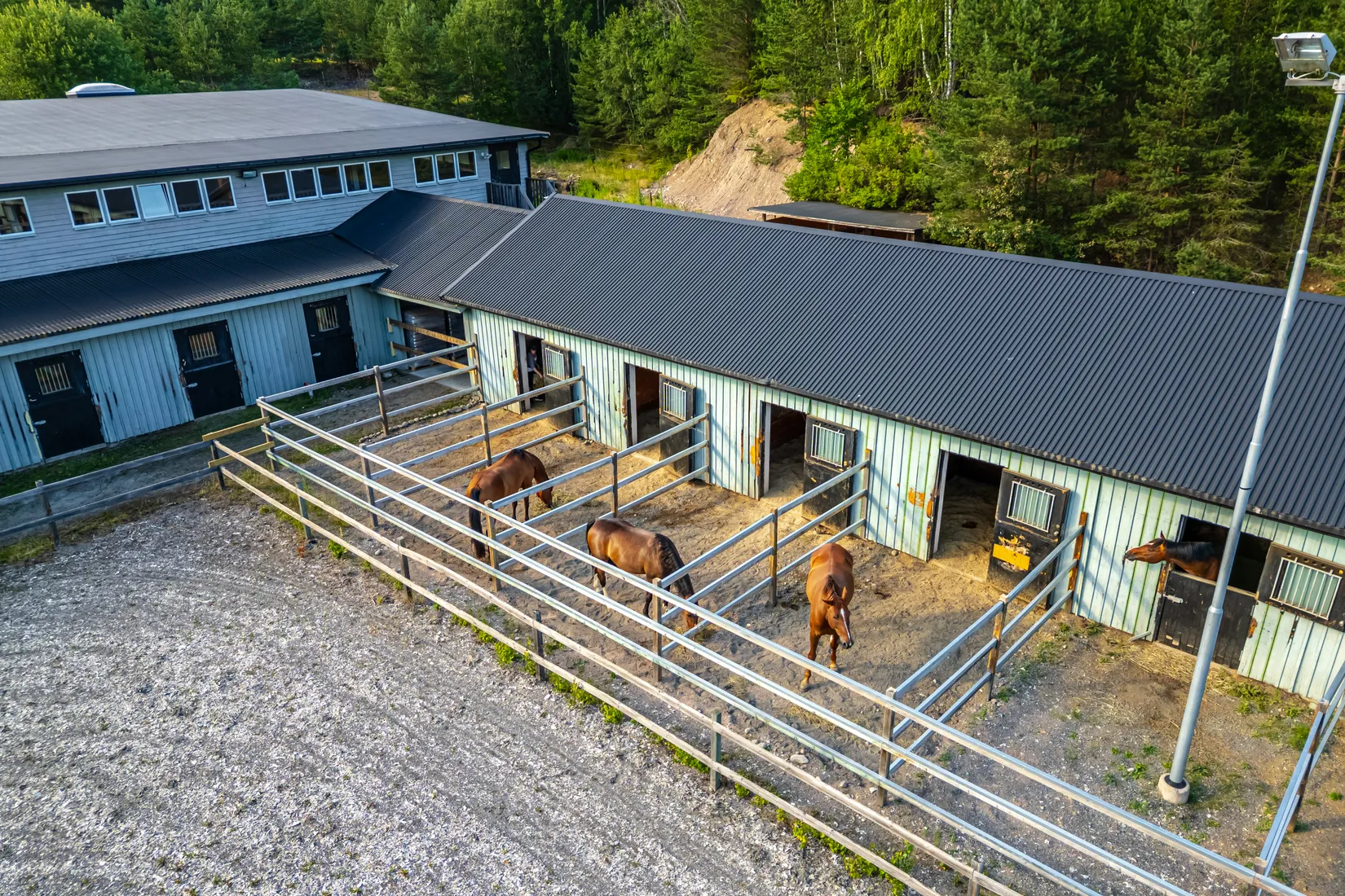 Gård/Skog, GAMLA DYVIKSVÄGEN 19, Björnhuvud, Österåker