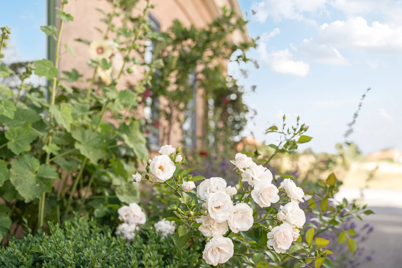Villa, Nygatan 35A, Brantevik, Simrishamn