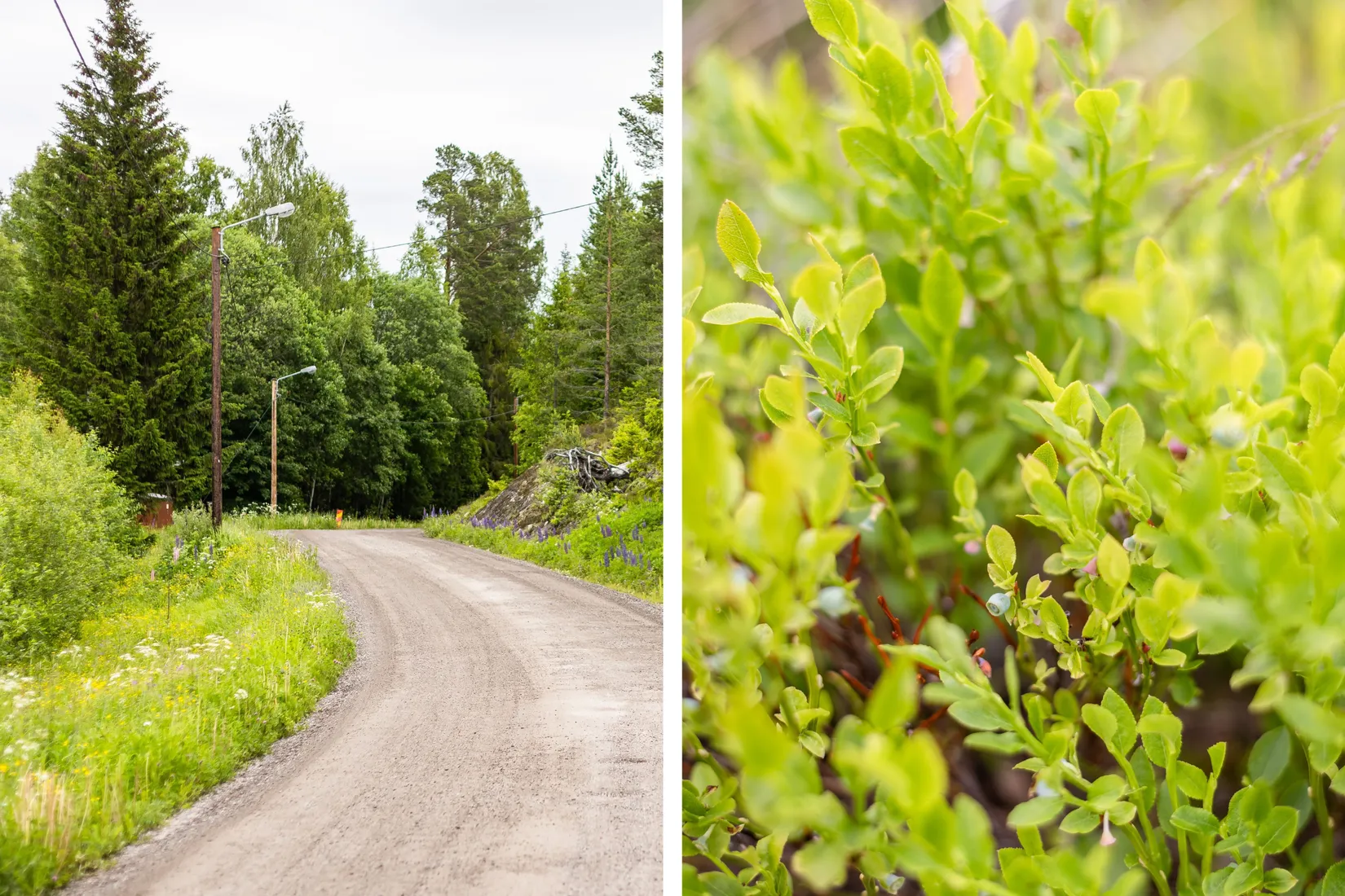 Tomt, Sörnackstavägen, Sörnacksta, Sundsvall