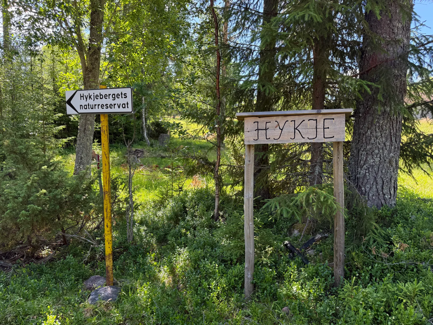 Fritidshus, Hyk 2, Hykje fäbod, Älvdalen