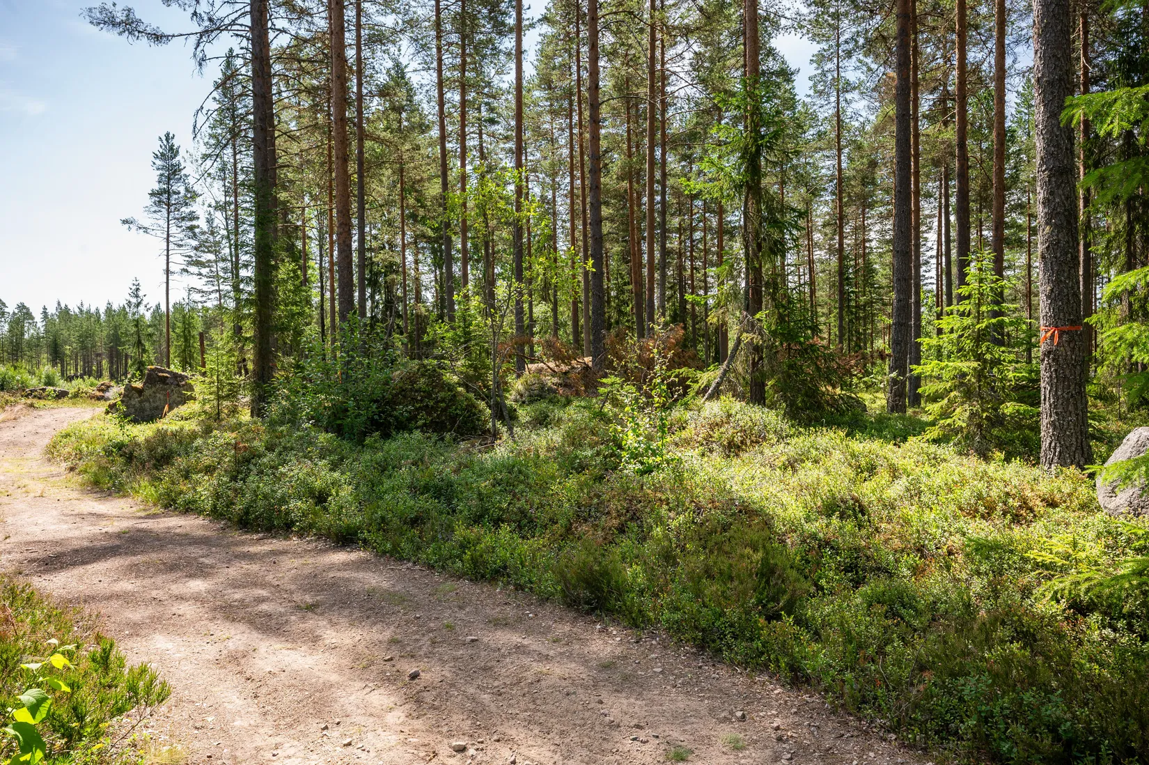 Tomt, Vassgalen Östra 4, Vansbro