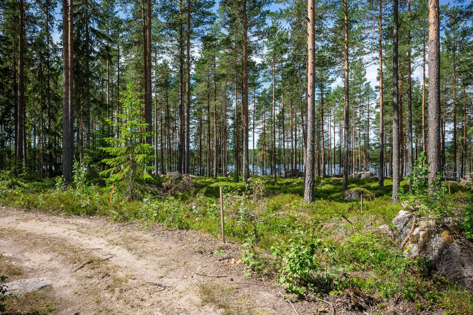 Tomt, Vassgalen Östra 4, Vansbro